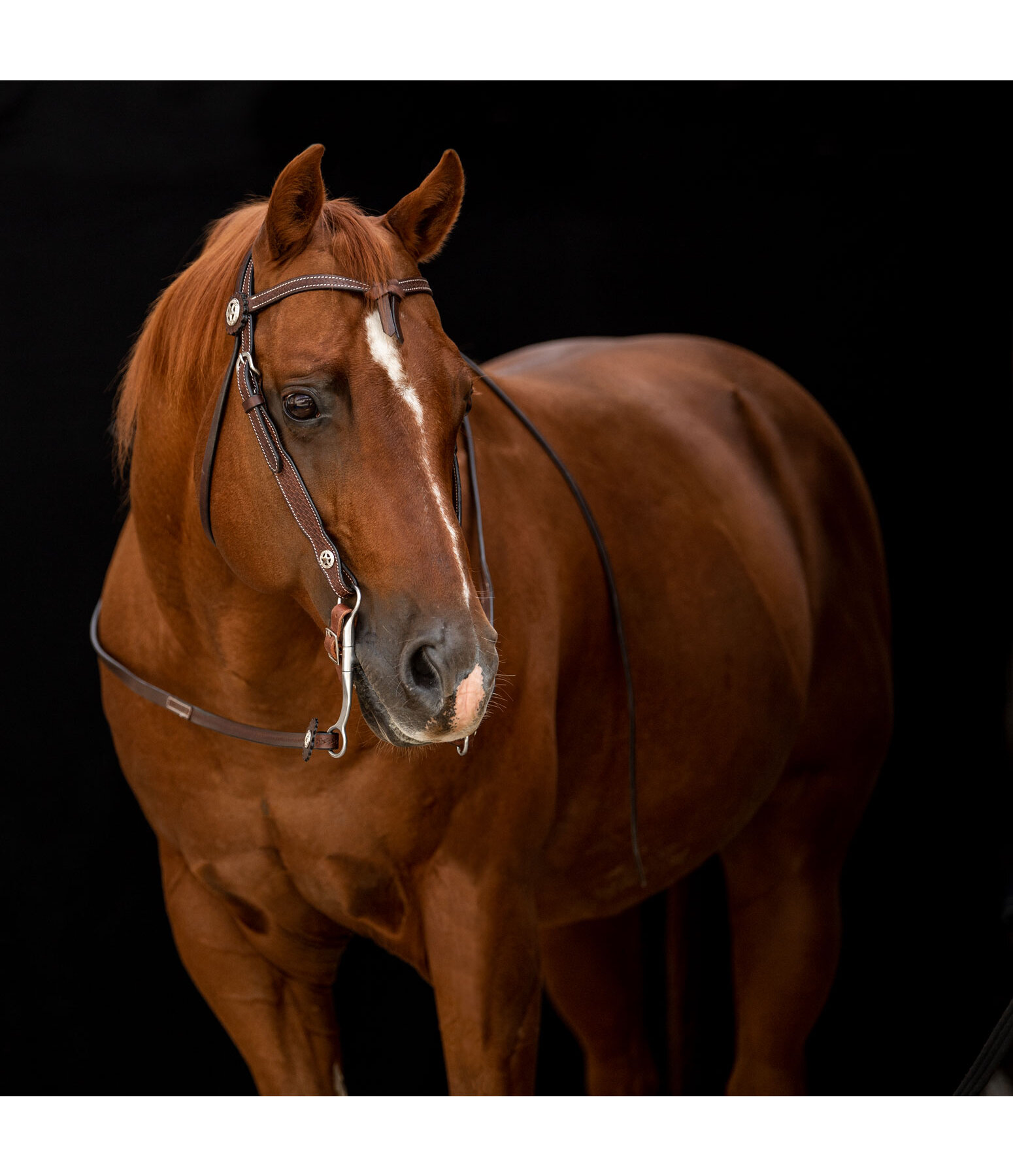 westernhoofdstel met teugels