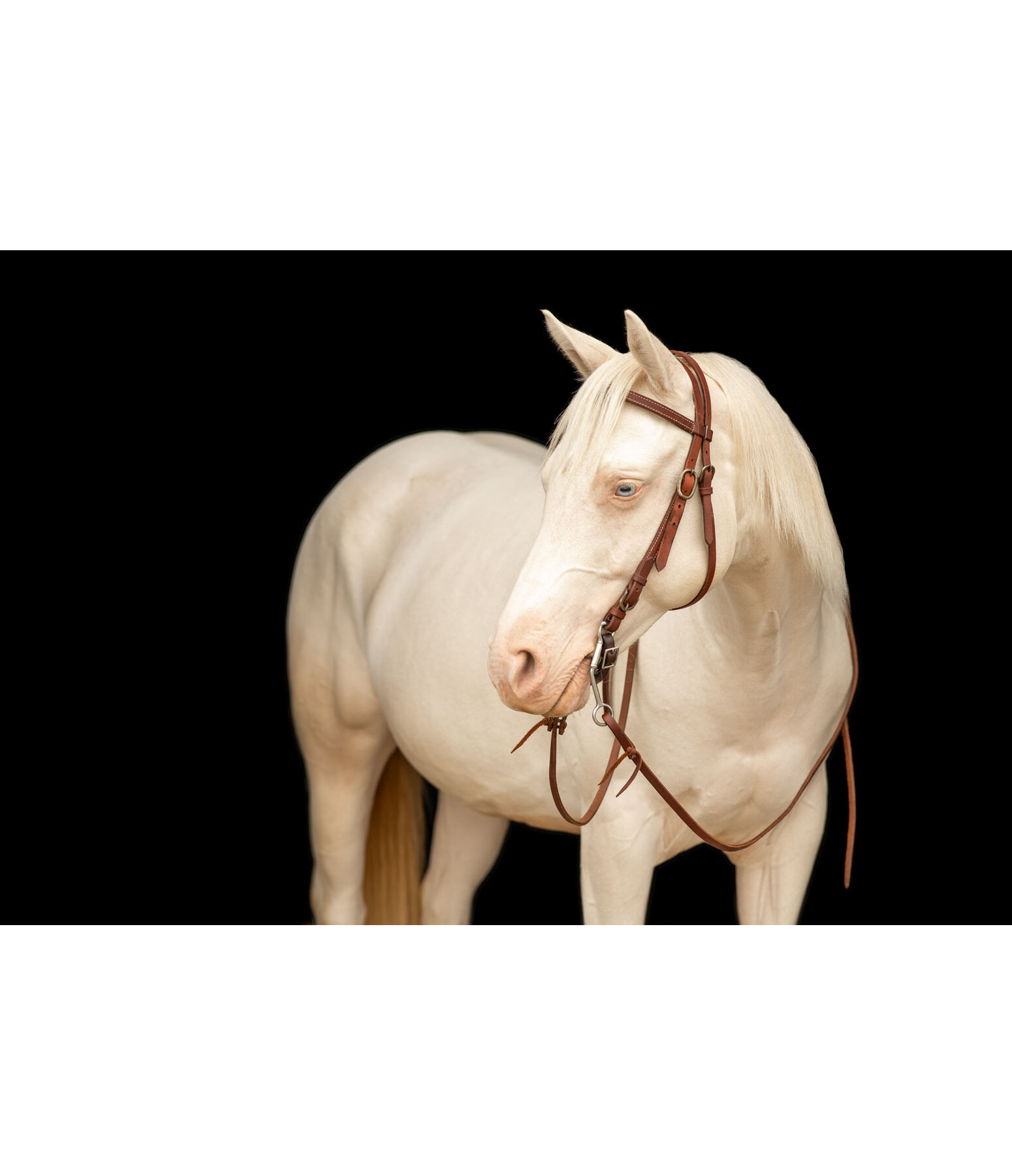 werkhoofdstel Buckle End