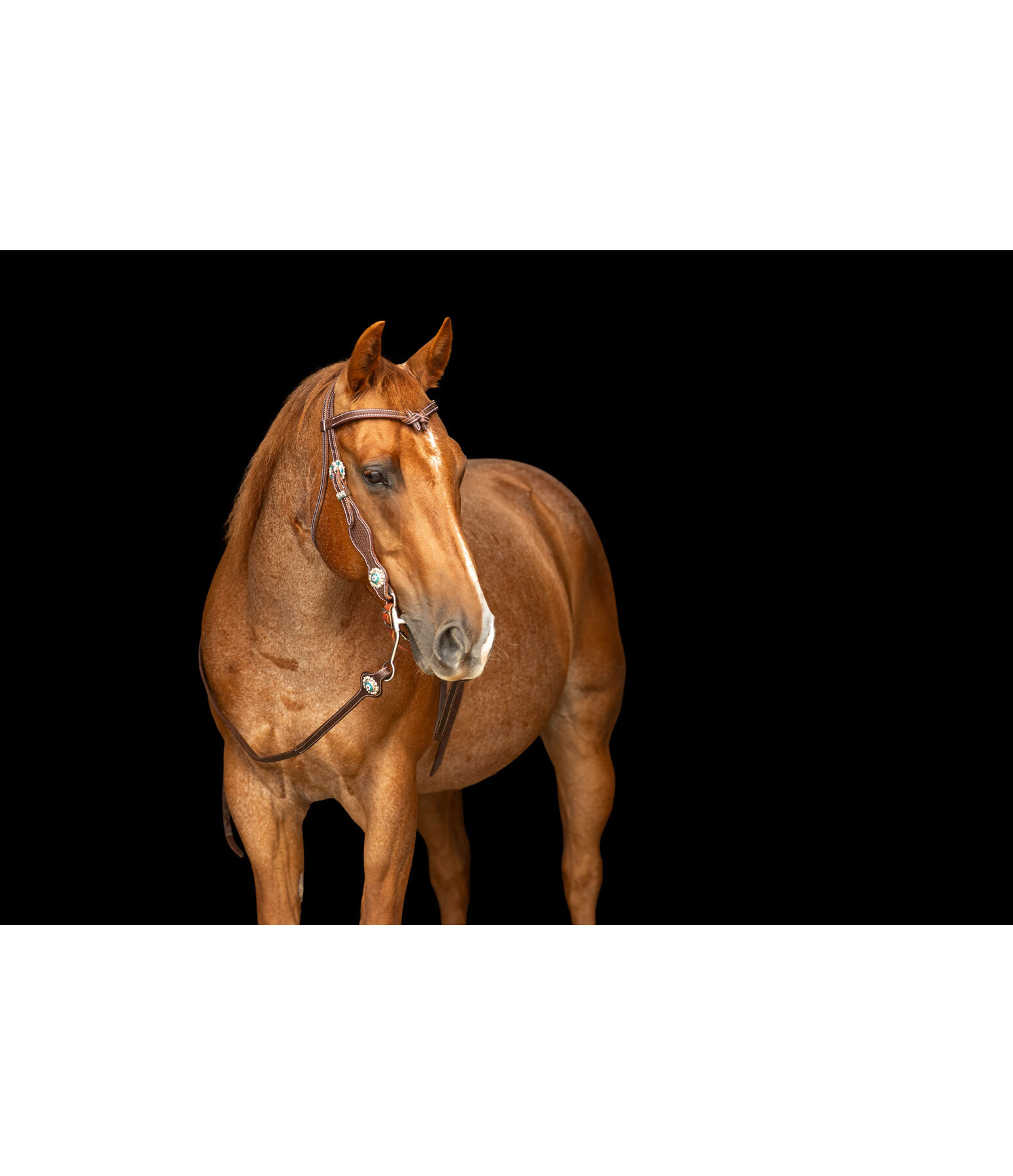 hoofdstel Crystal Dream