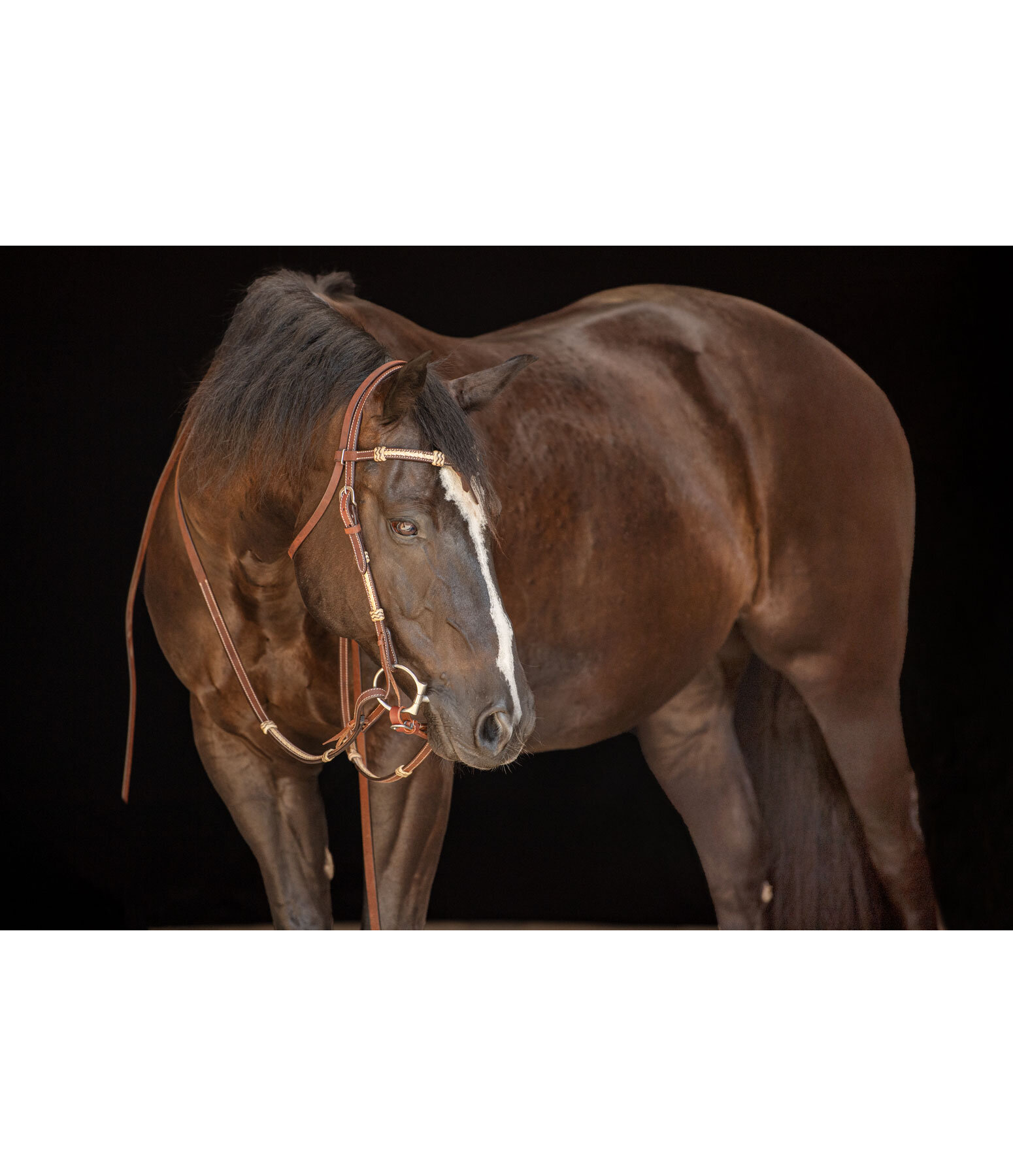hoofdstel Braided Rawhide