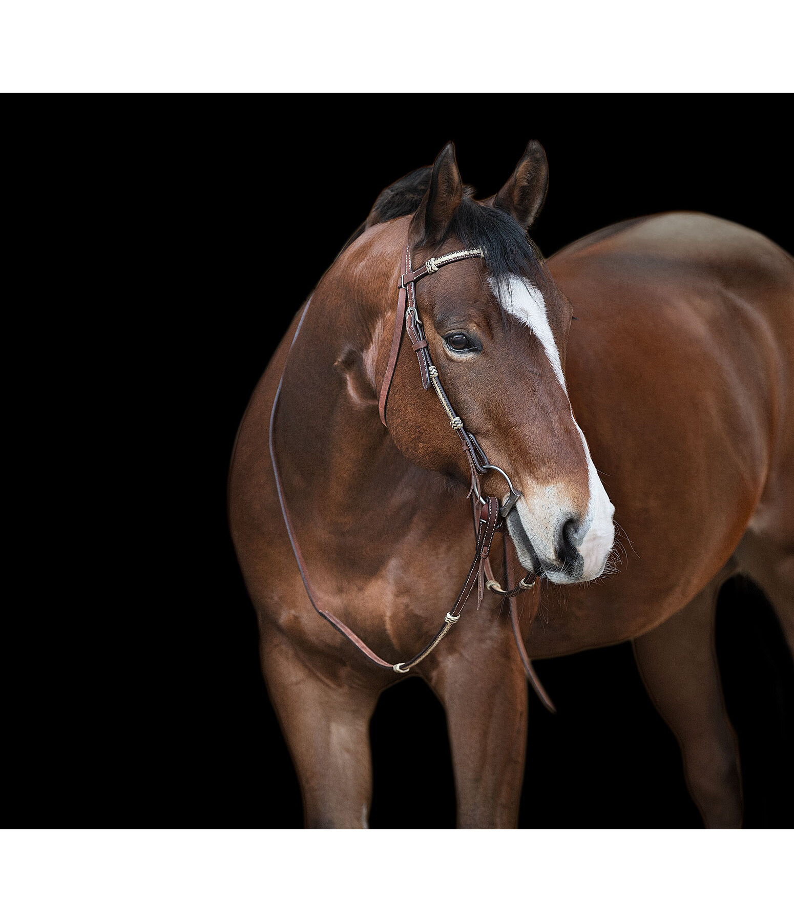 hoofdstel Braided Rawhide