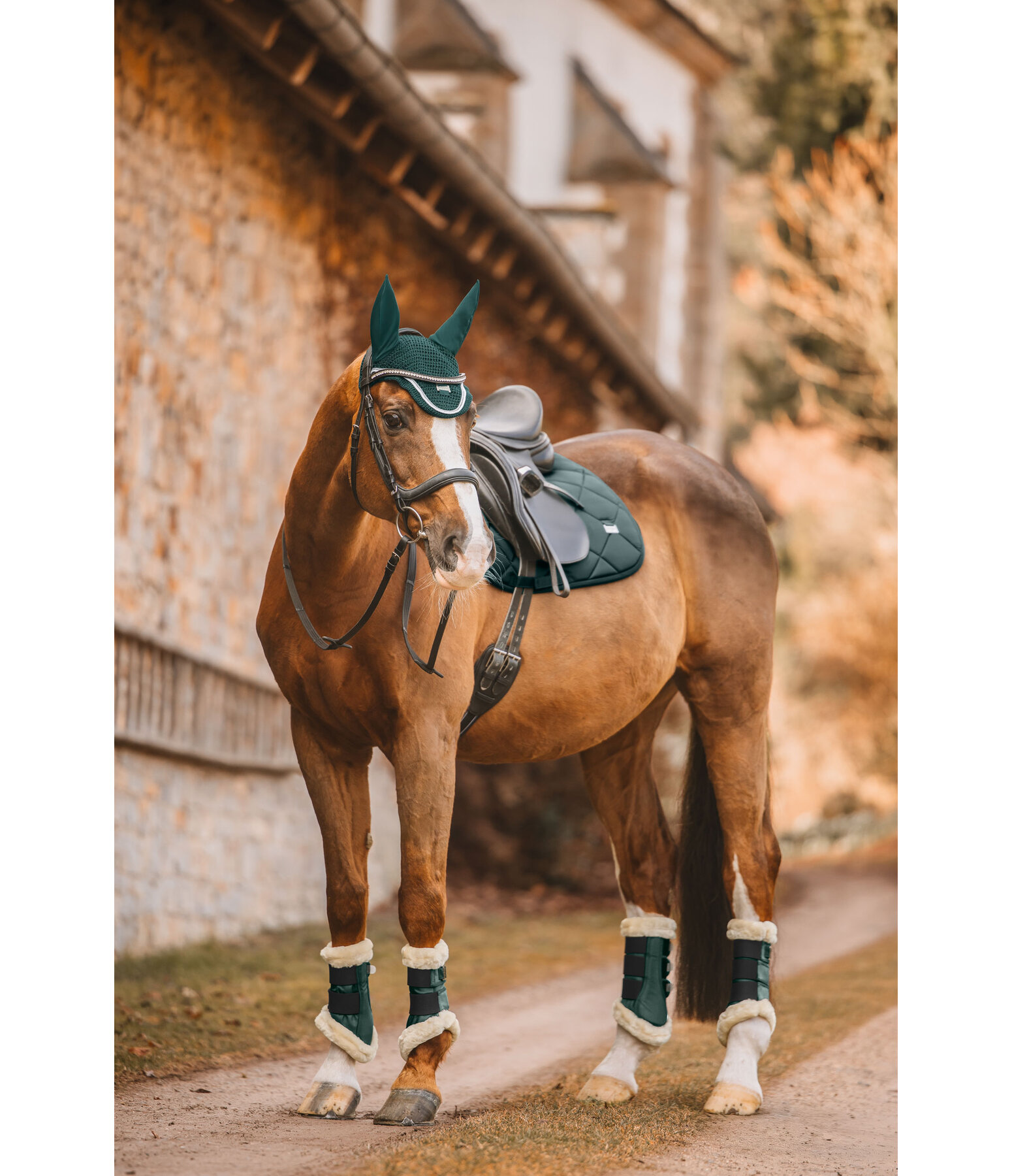 zadeldek Essential Standard