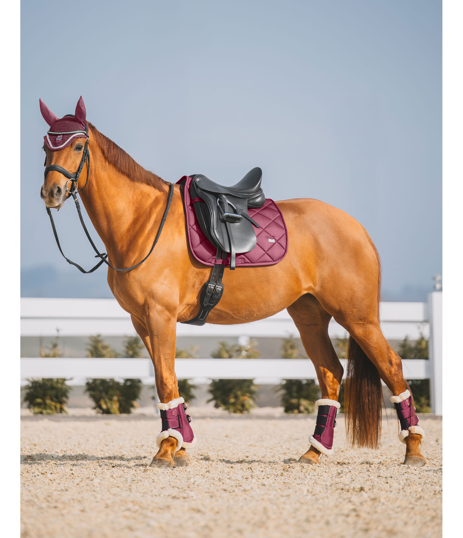zadeldek Essential Standard
