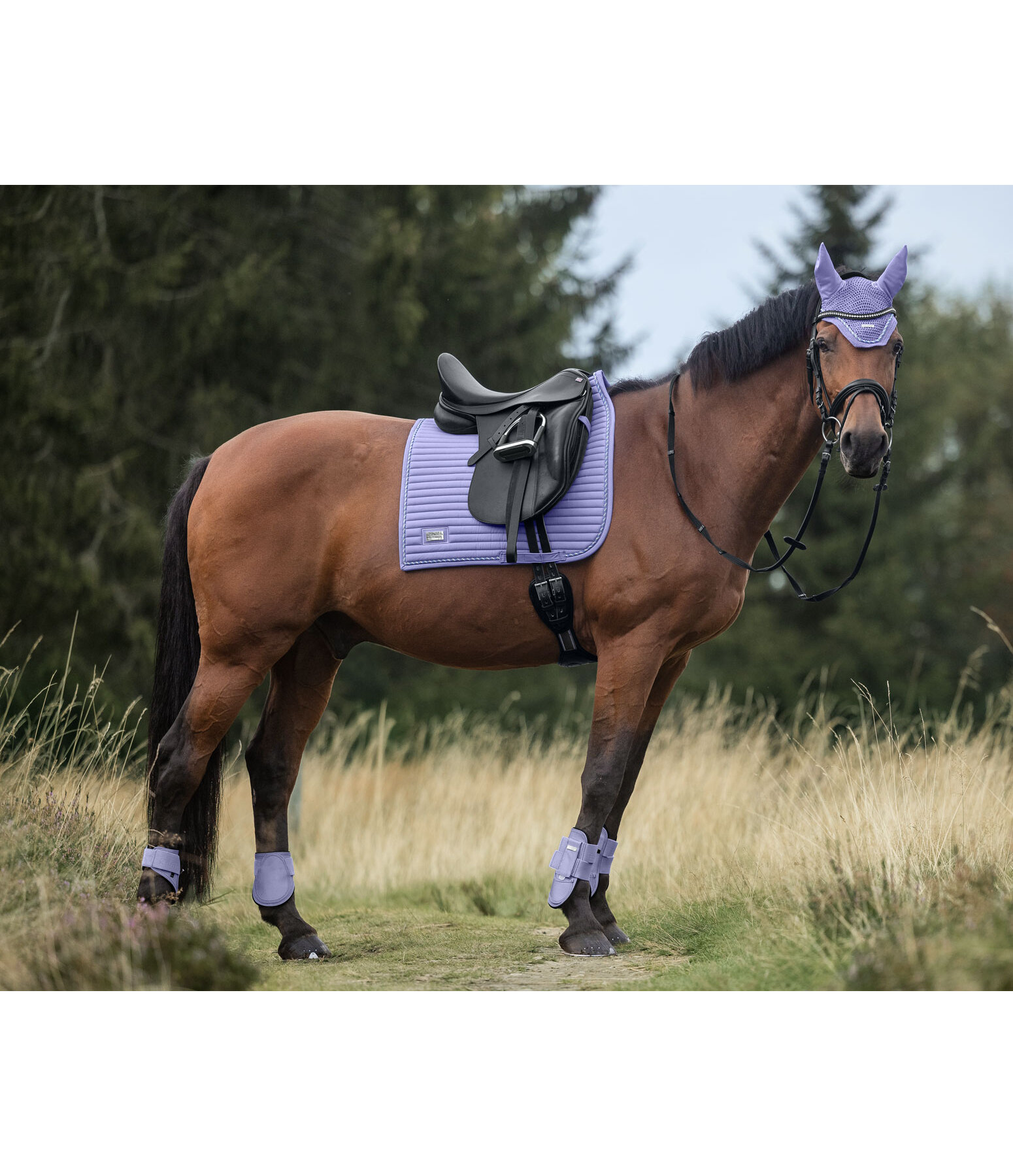 zadeldek Sophistication Regular
