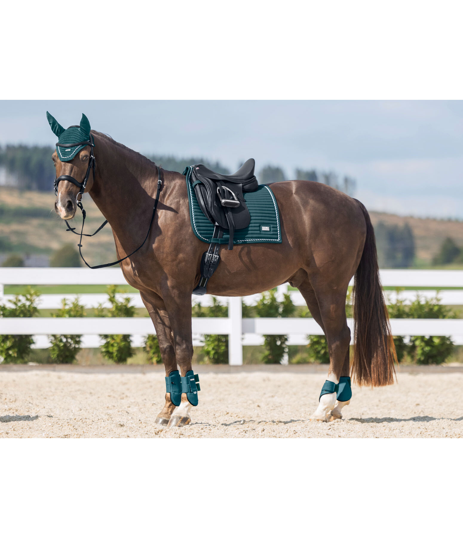 zadeldek Sophistication Regular
