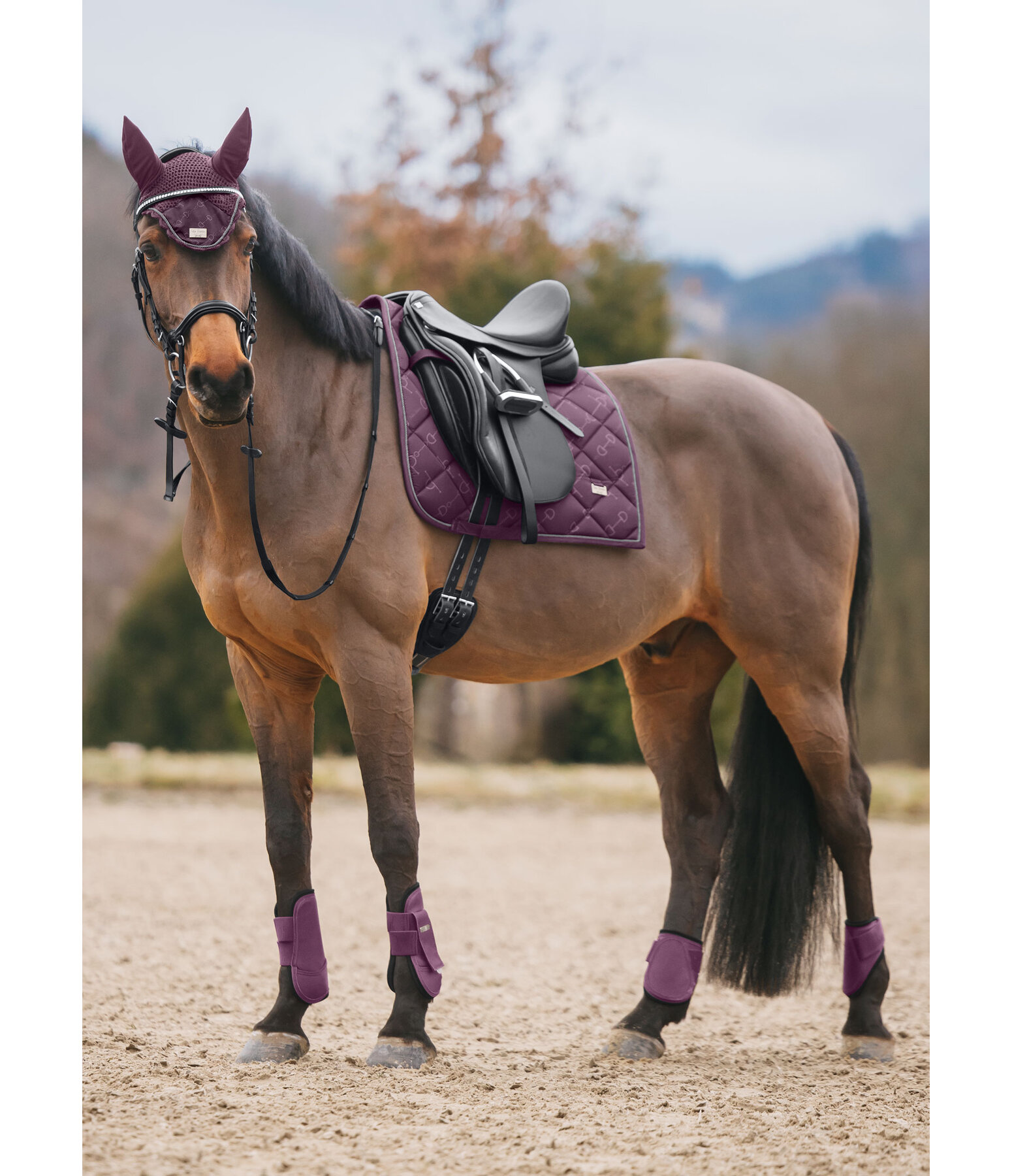 zadeldek Signature II