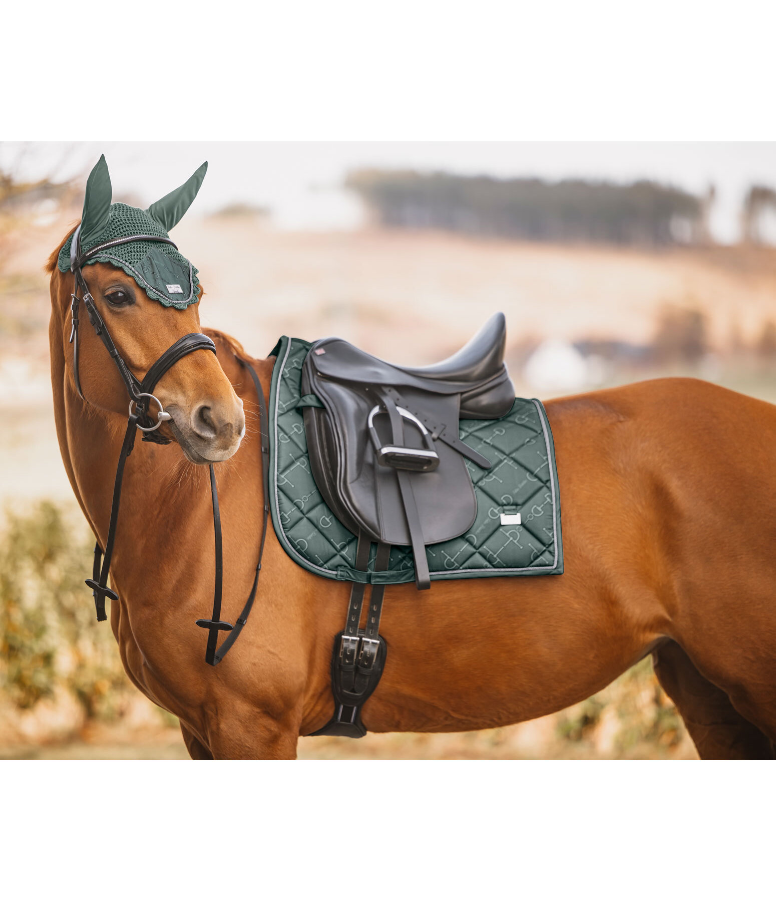 zadeldek Signature II