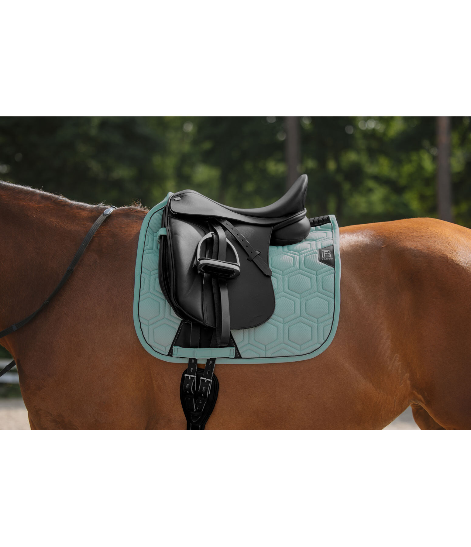 zadeldek Mesh-Technology