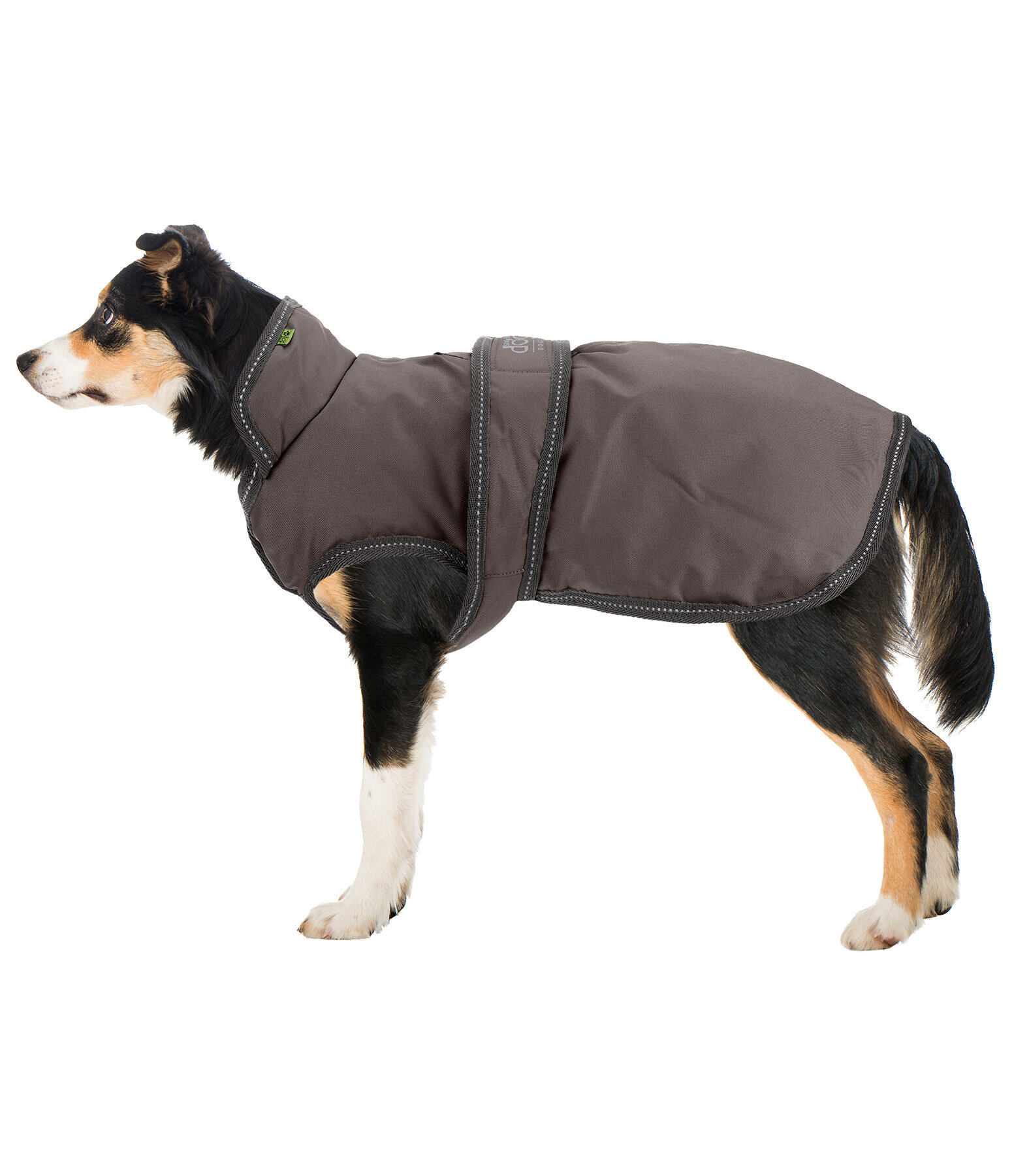 hondenjas Eddie met fleece 200 g