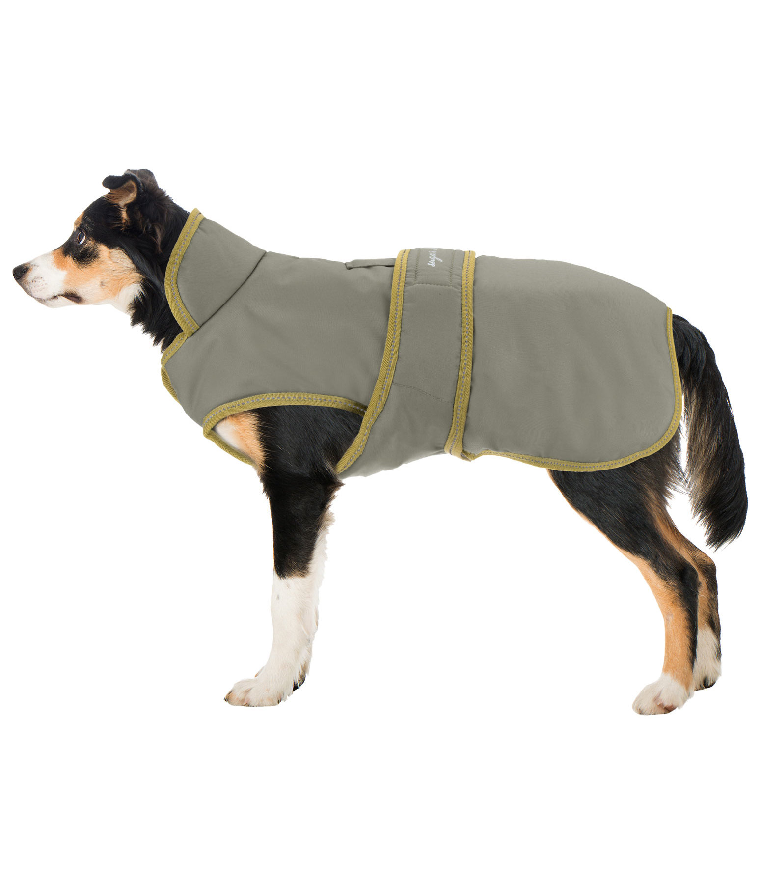 vertrekken Berri Terugroepen hondenjas Eddie met fleece 200 g - Kramer Paardensport