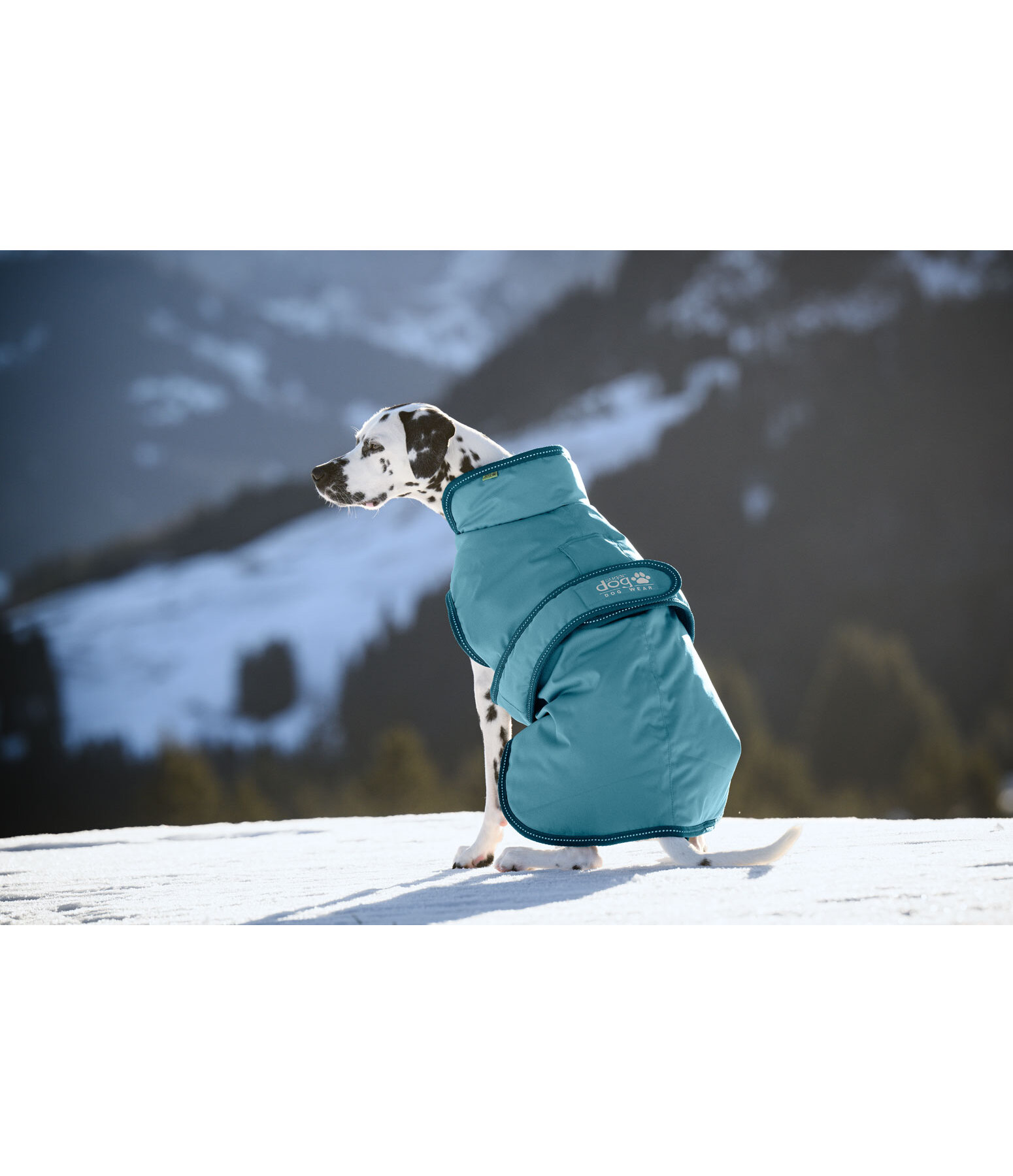 hondenjas Eddie met fleece 200 g