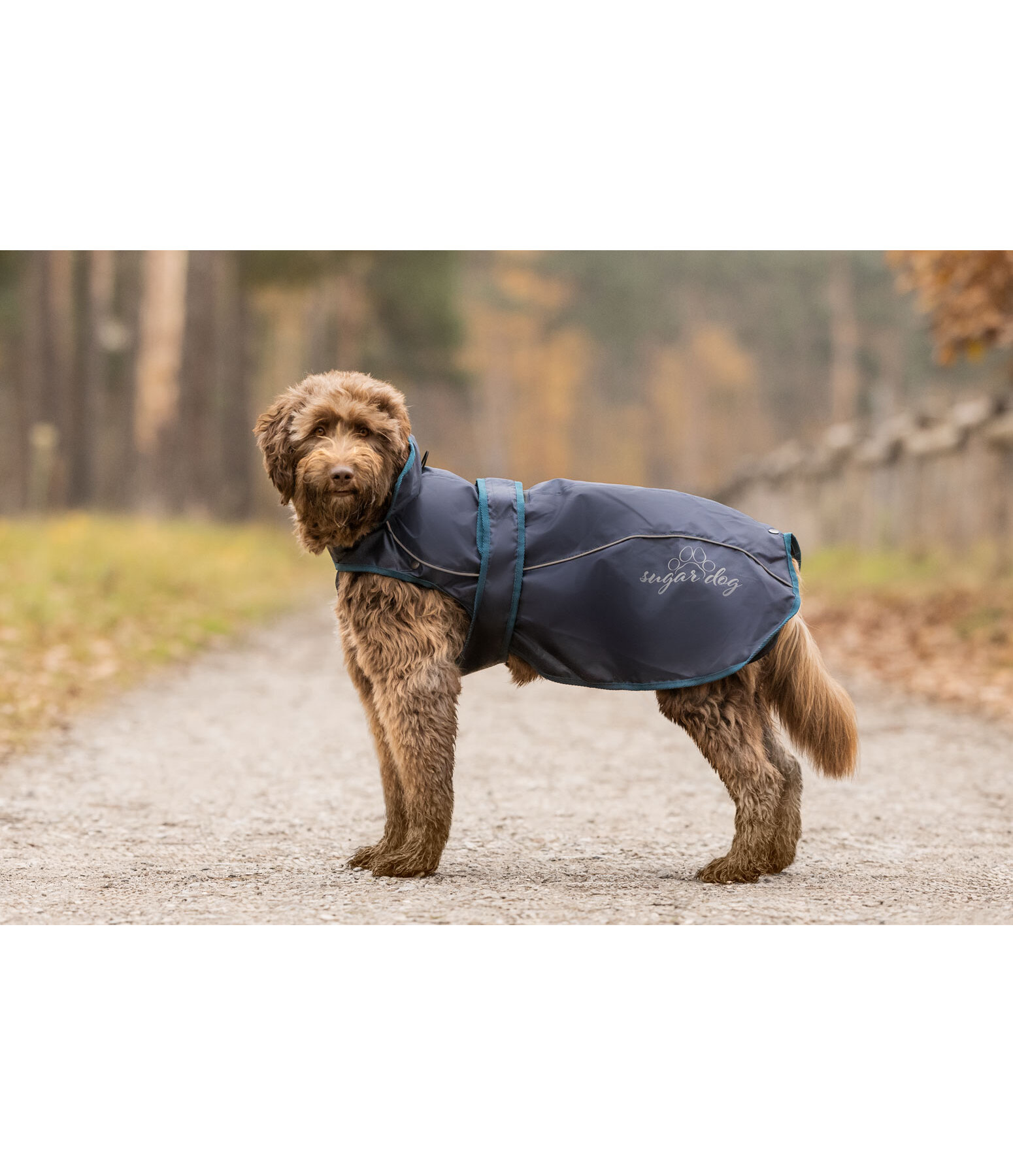regenjas Ally 2 in 1