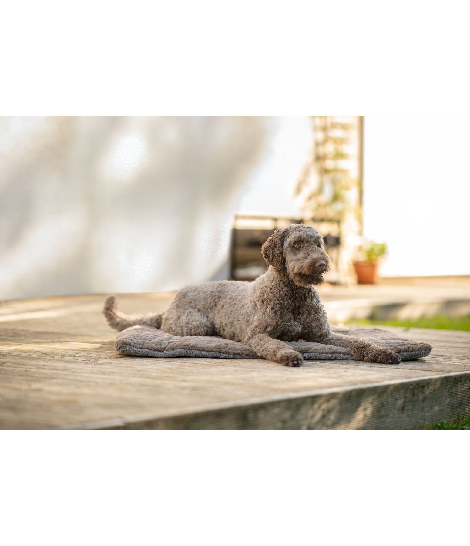 hondendeken Let Me Sleep