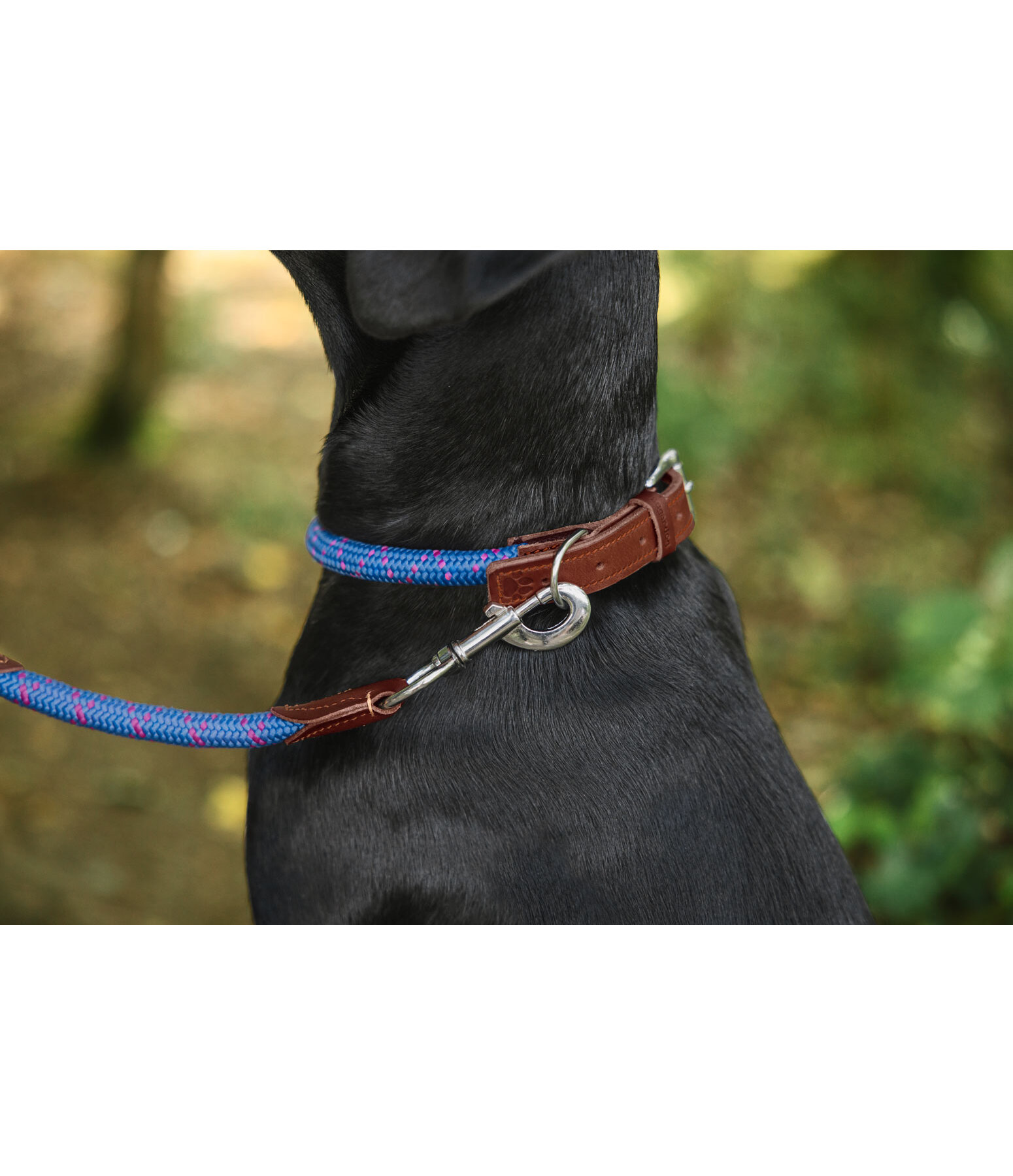 hondenhalsband Coloured Rope