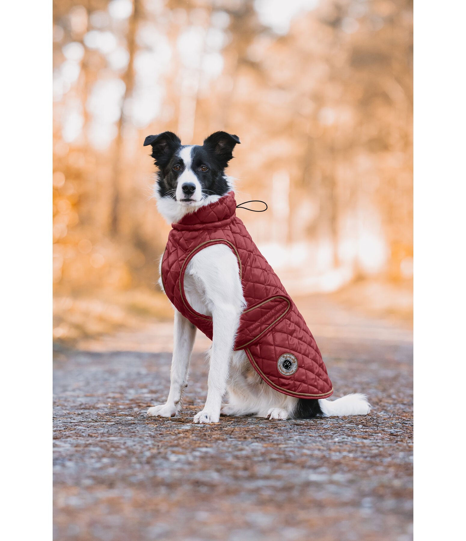hondendeken Archie met teddyfleece voering, 160 g