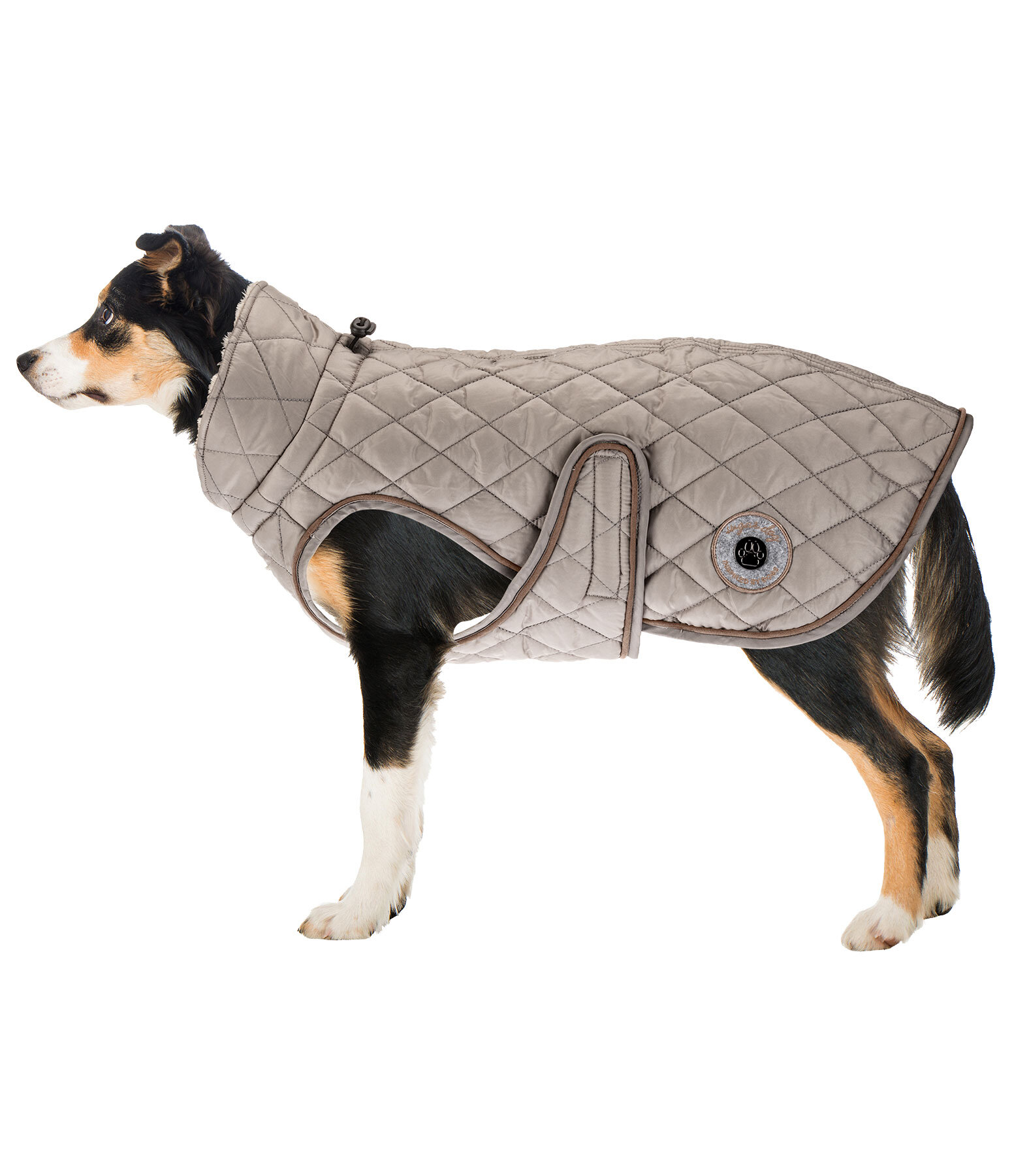 hondendeken Archie met teddyfleece voering, 160 g