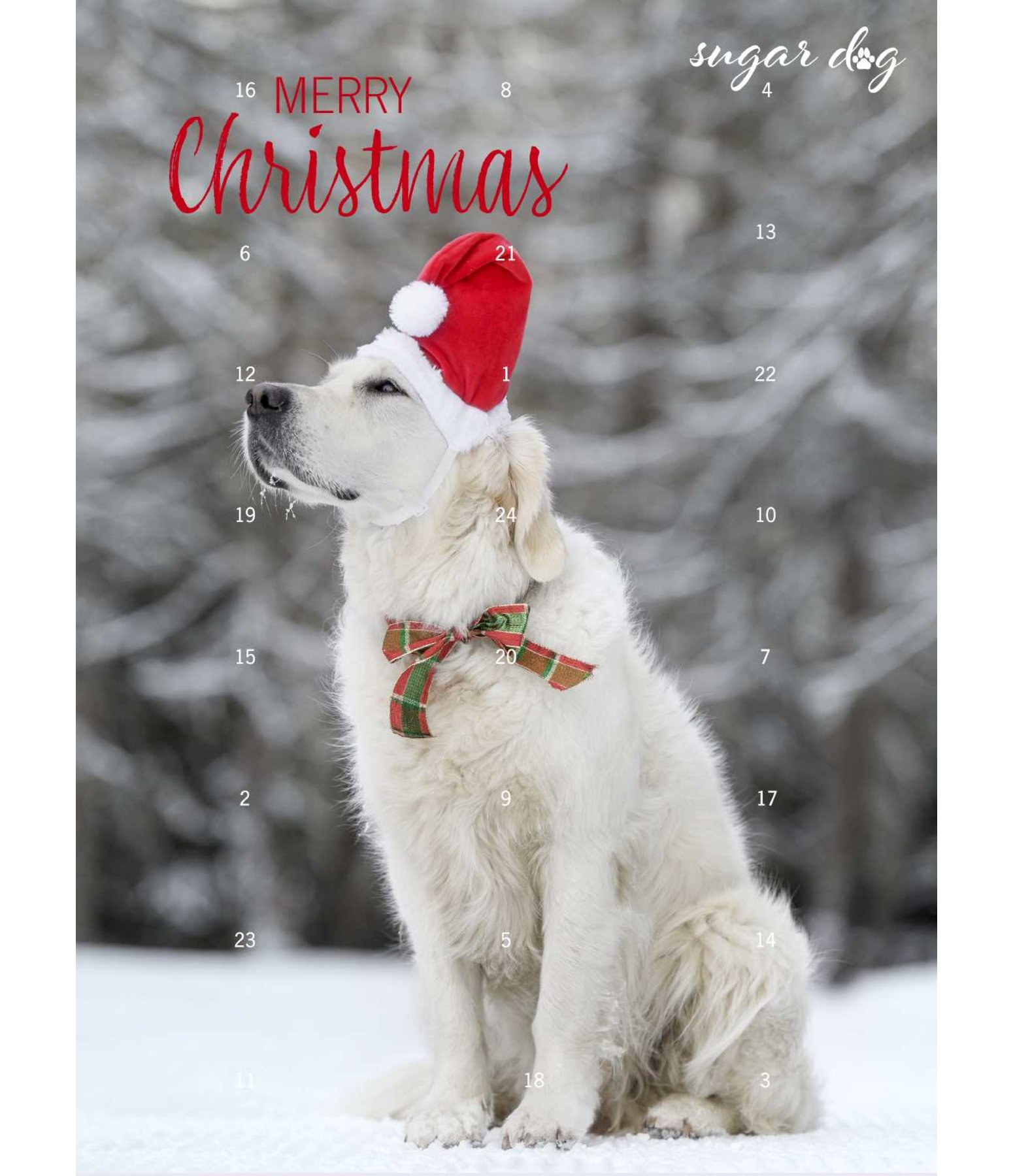 Adventskalender Voor Honden Merry Christmas Kramer Paardensport