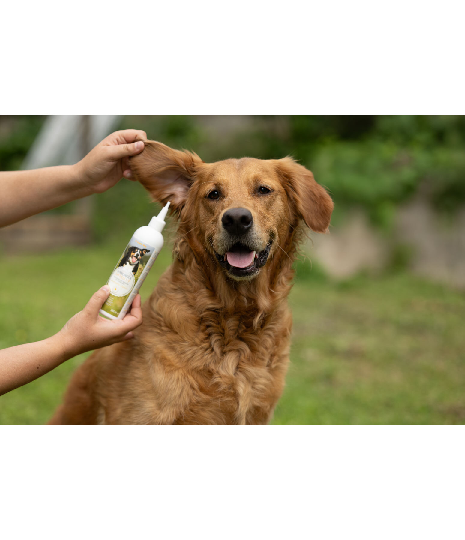 oorreiniger Listen Up