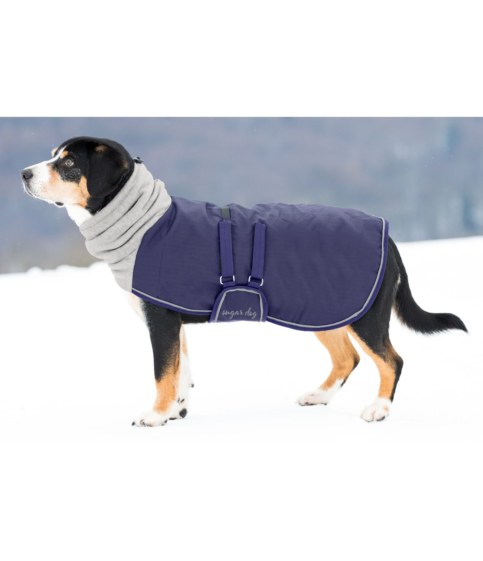 Gladys Stijgen Wegversperring honden winterjas Juniper met fleecekraag, 200 g - Kramer Paardensport