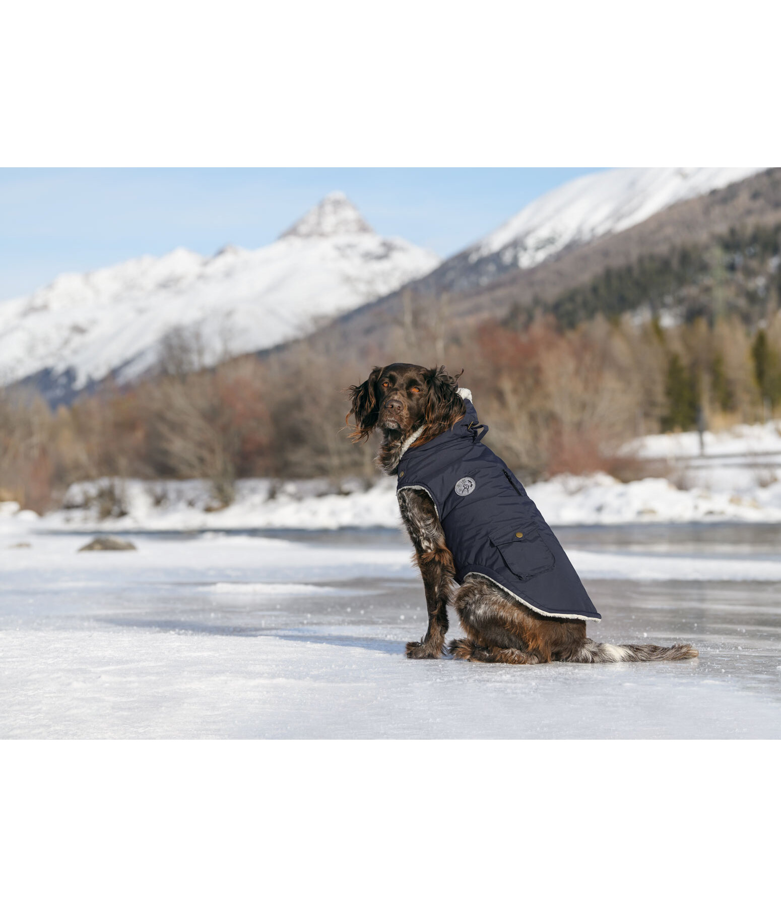 honden regenparka Wilbur met sherpa voering, 60 g