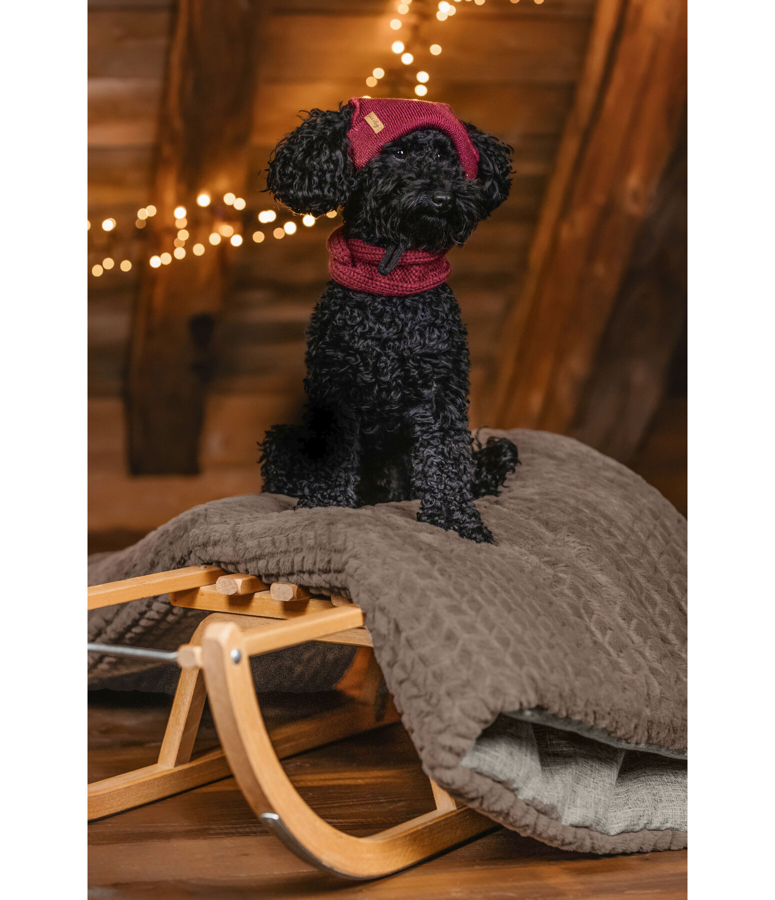 honden Beanie Evin