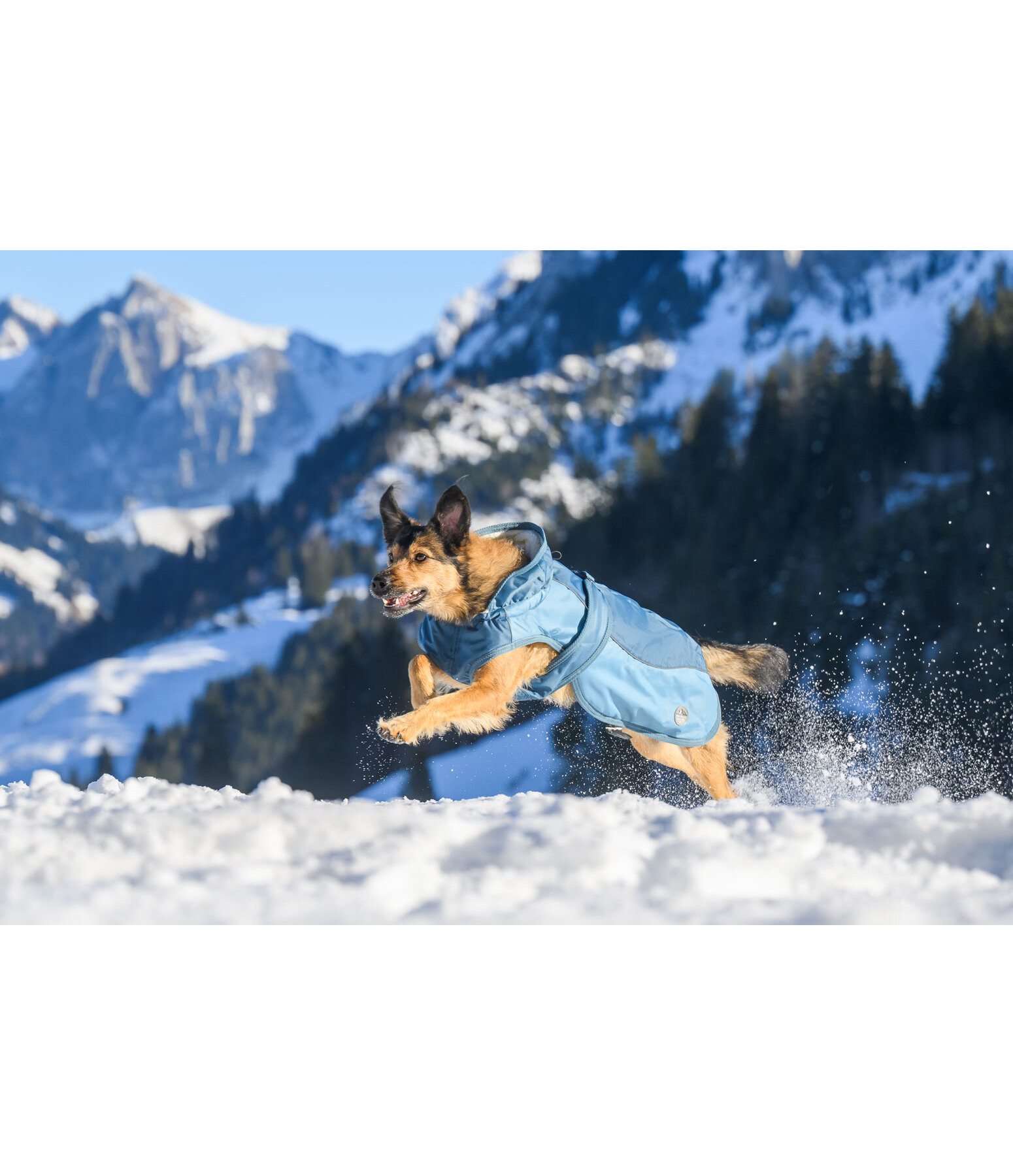 honden winterjas Glacier Bay met teddyfleece-binnenvoering, 100 g