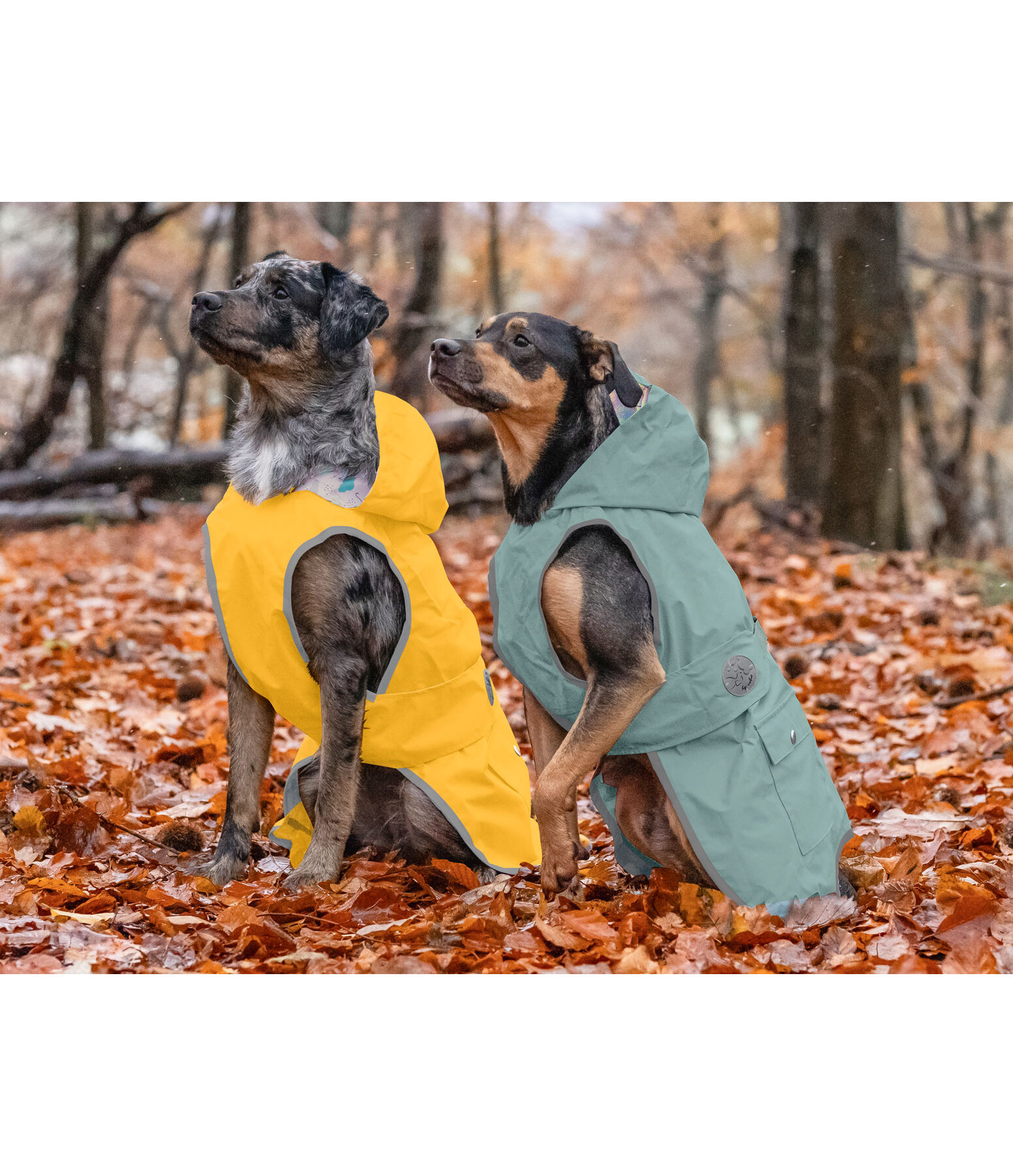 honden regenmantel Waterton Lakes 0 g Kramer Paardensport