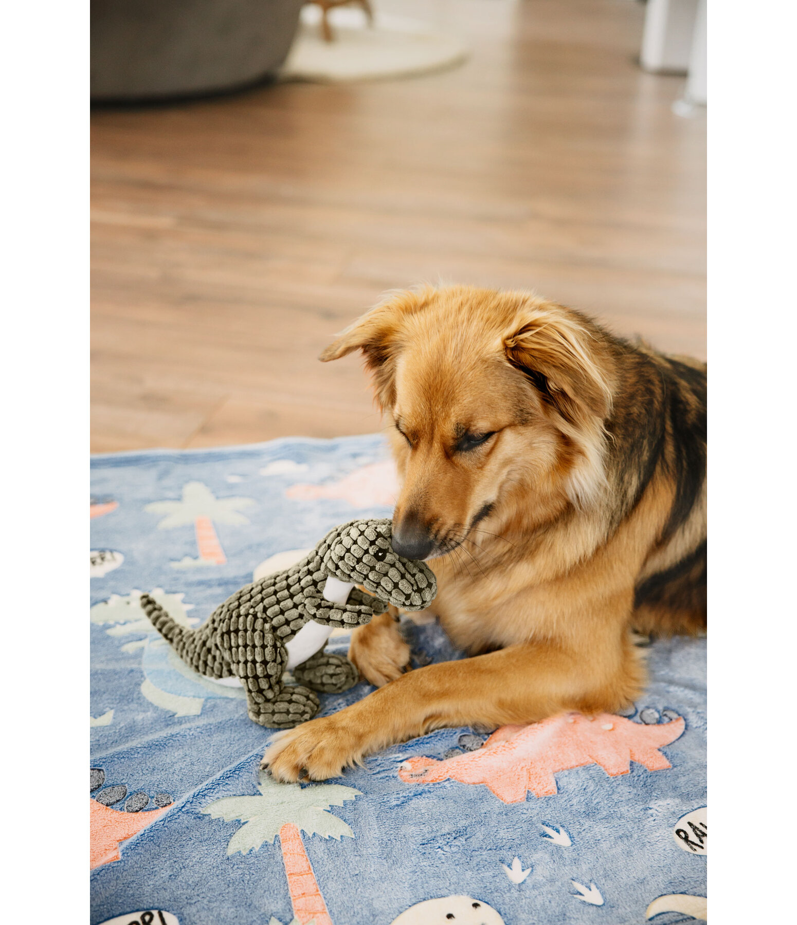 hondenknuffel dino Rexy