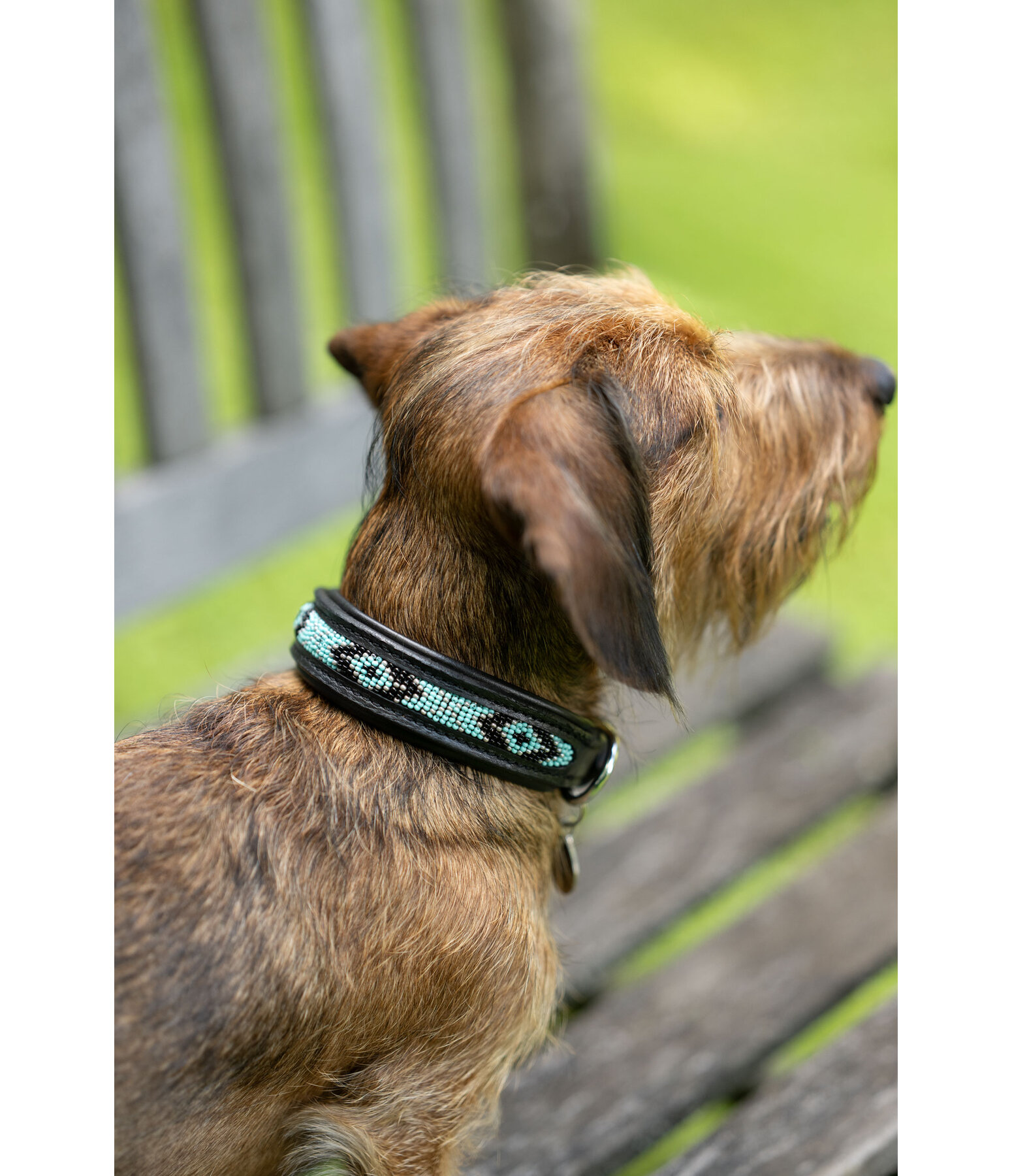 lederen honden halsband Nashville