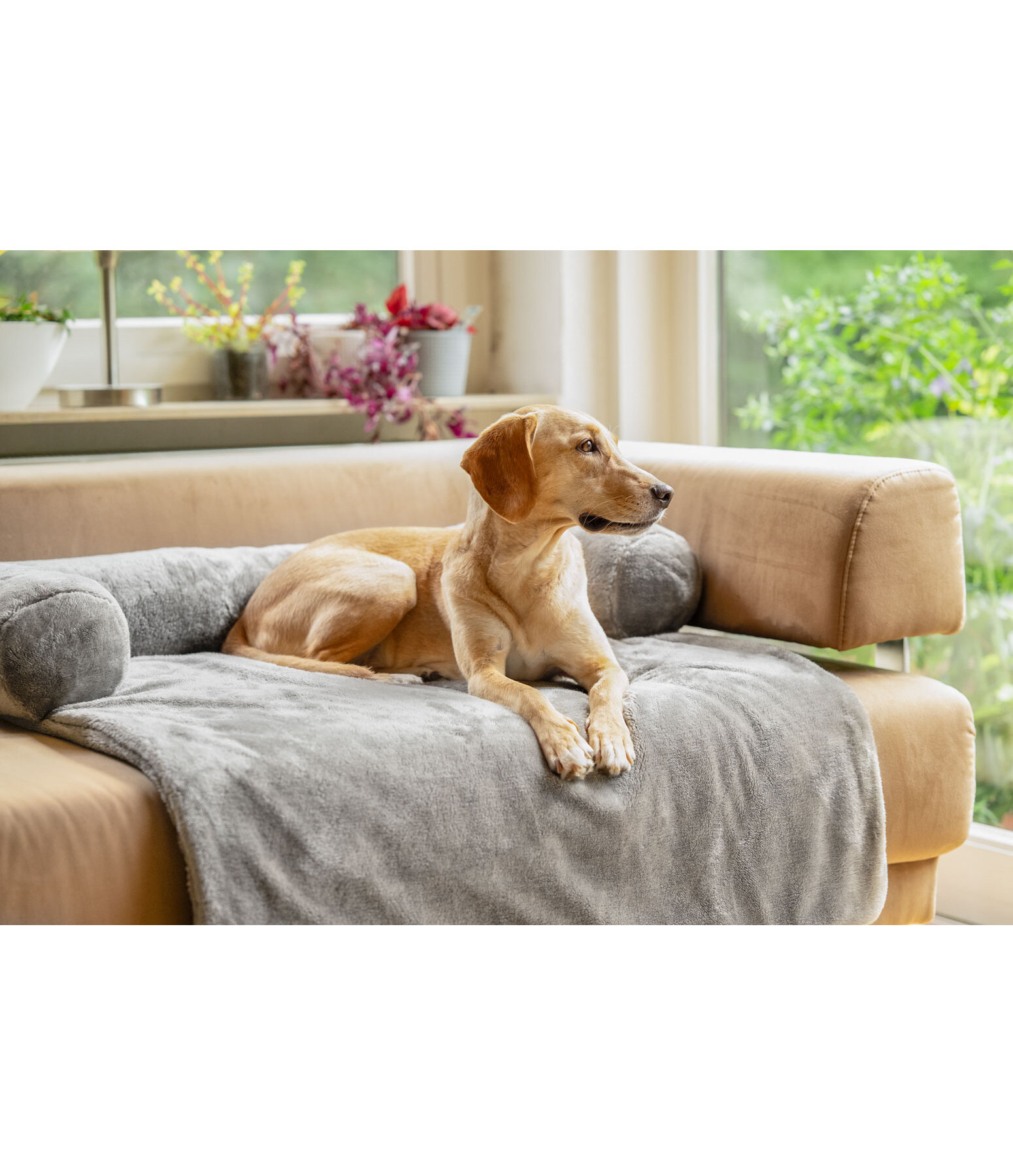 teddyfleece meubelbescherming Guard