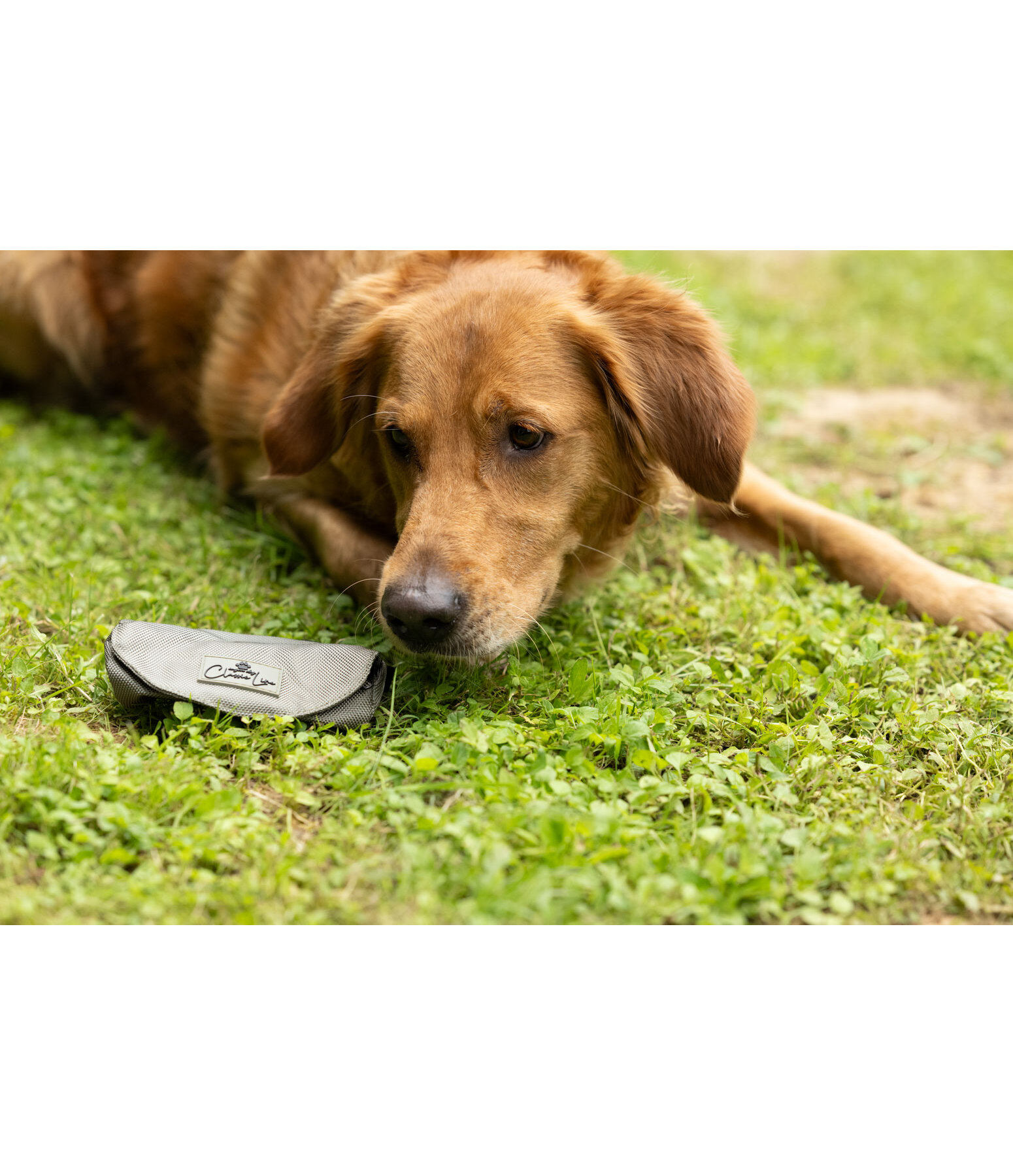 apporteerzakje Classic Line voor honden