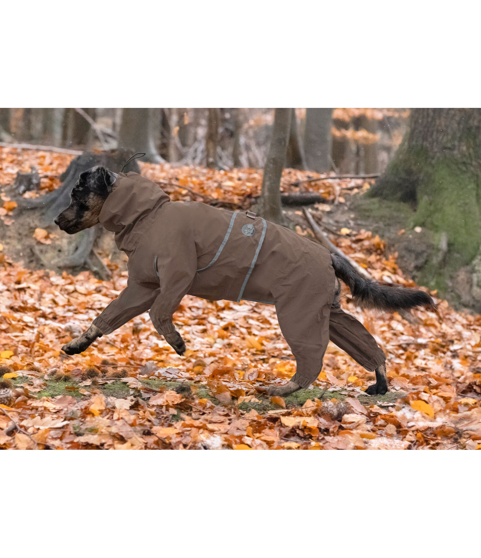 Allover honden regenjas Sequoia II, 0 g
