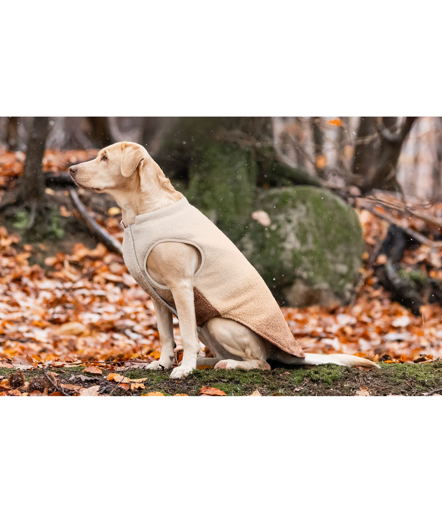 omkeerbaar softshell hondenvest Willa, 80 g