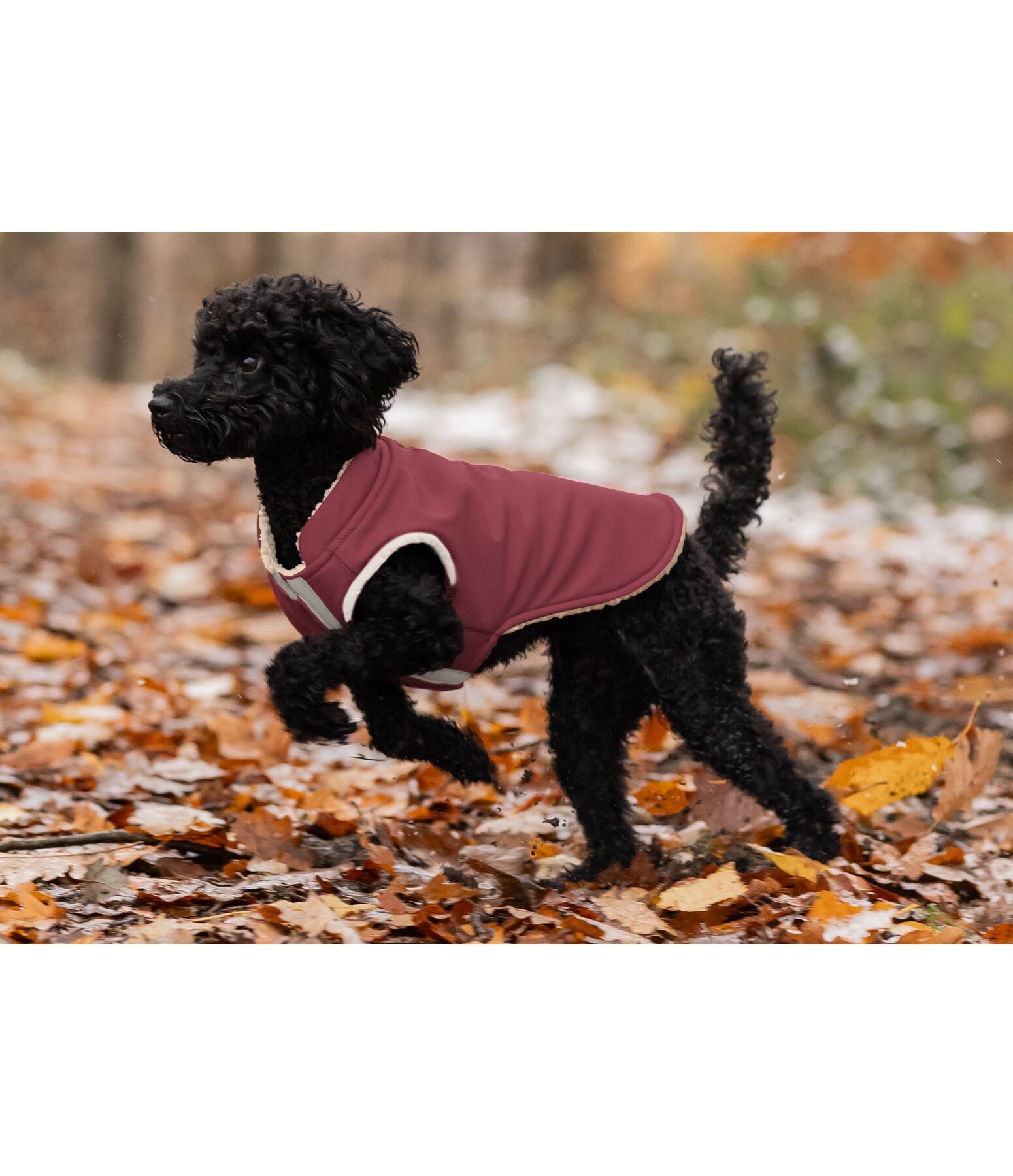 omkeerbaar softshell hondenvest Willa, 80 g