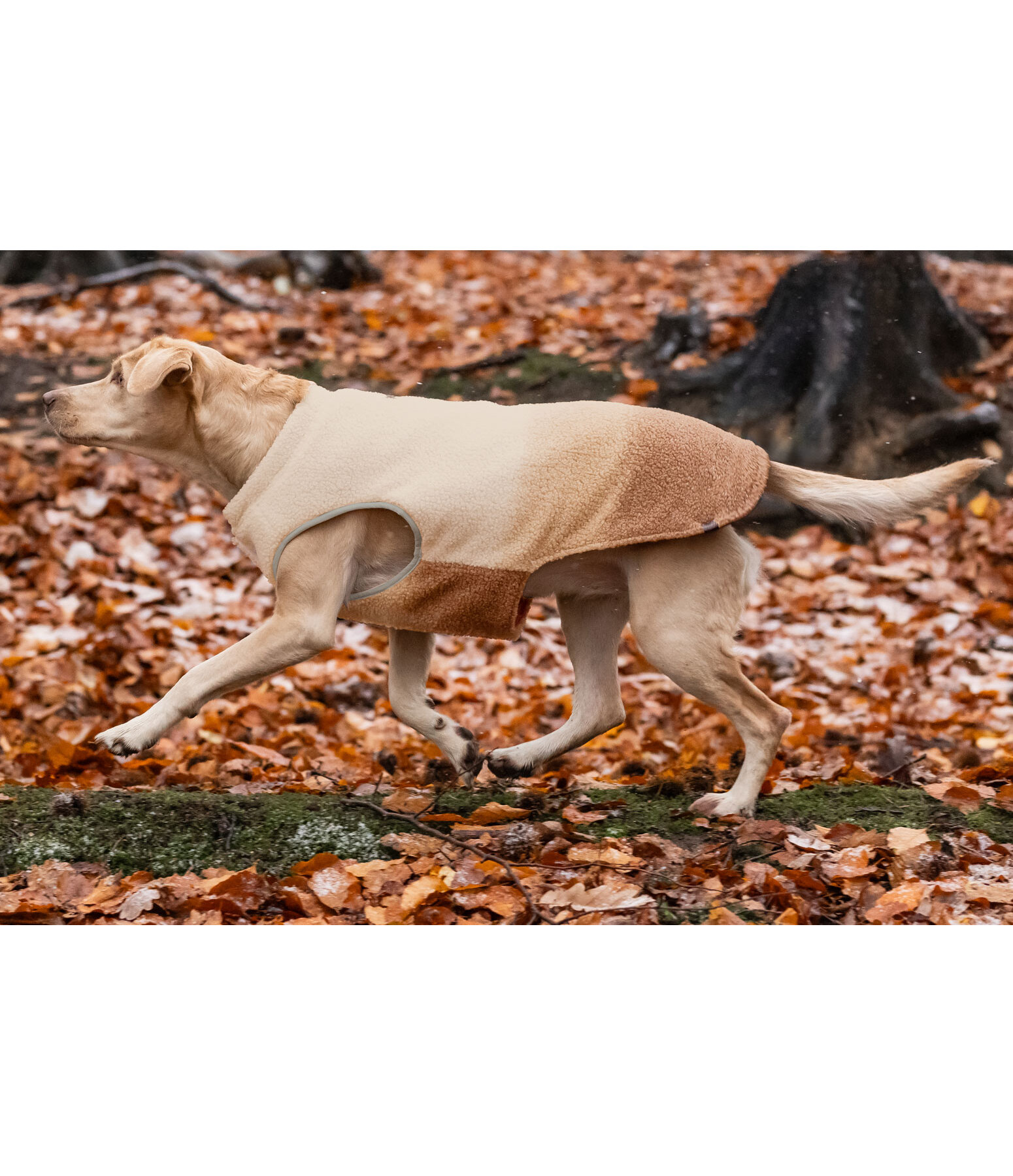 omkeerbaar softshell hondenvest Willa, 80 g