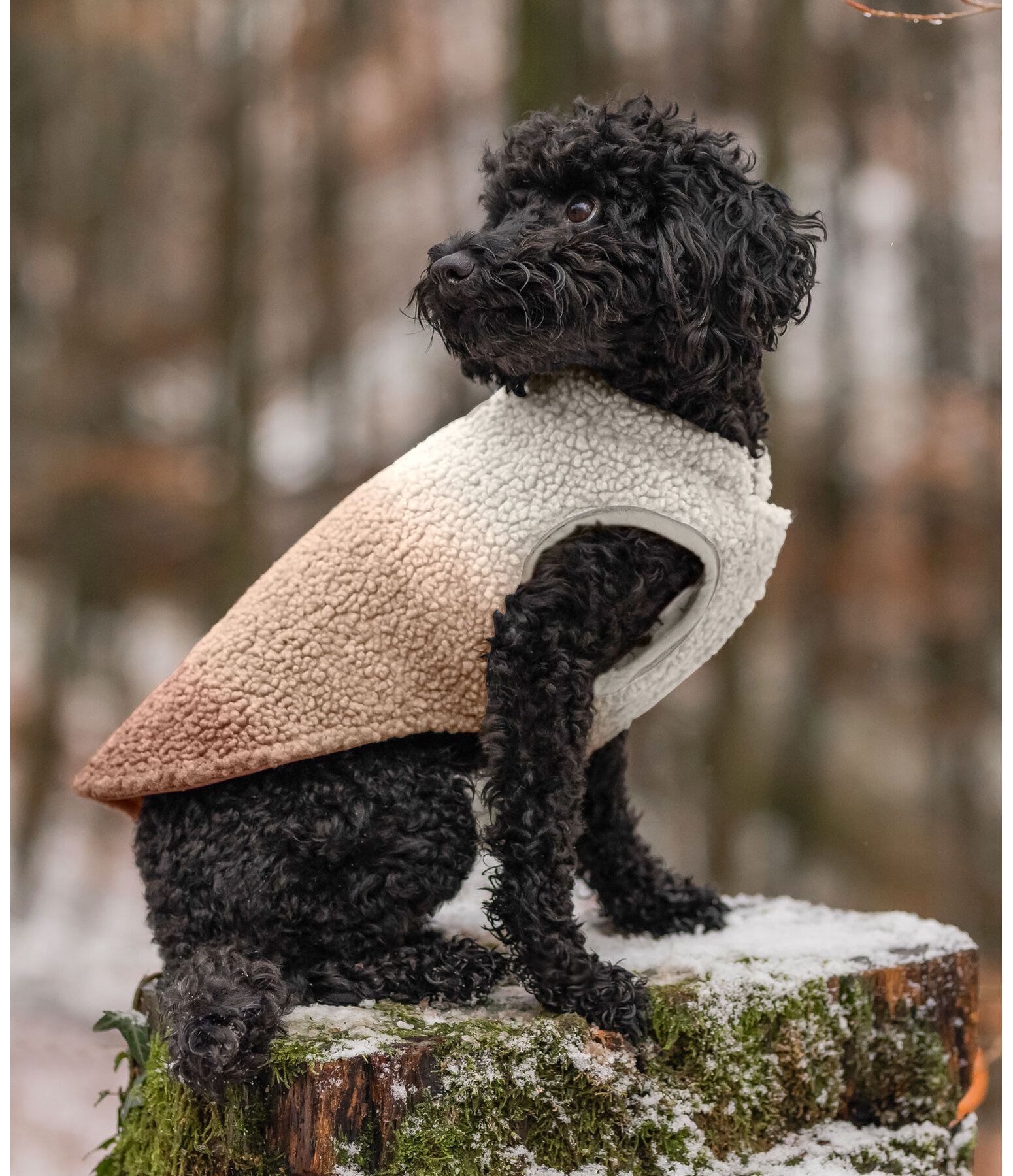 omkeerbaar softshell hondenvest Willa, 80 g