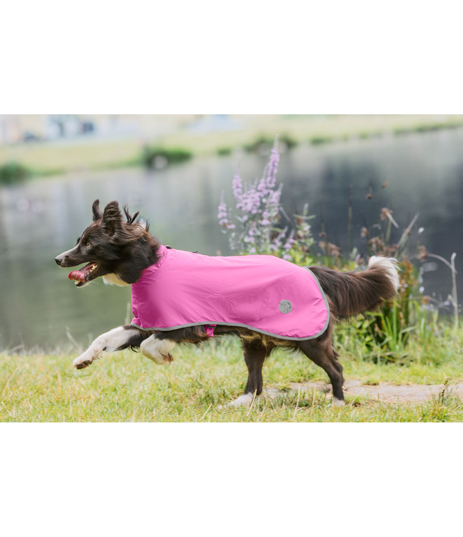 honden regenjas Thousand Islands, 0 g