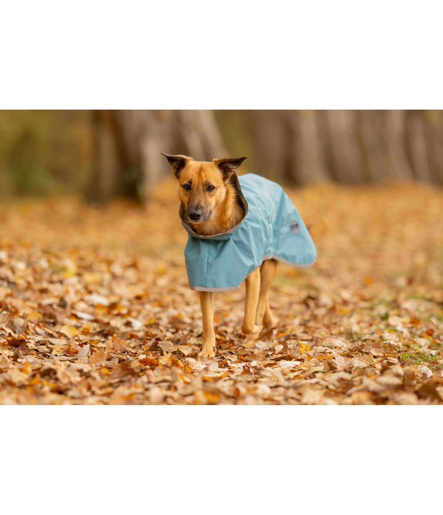 honden regenjas Thousand Islands, 0 g