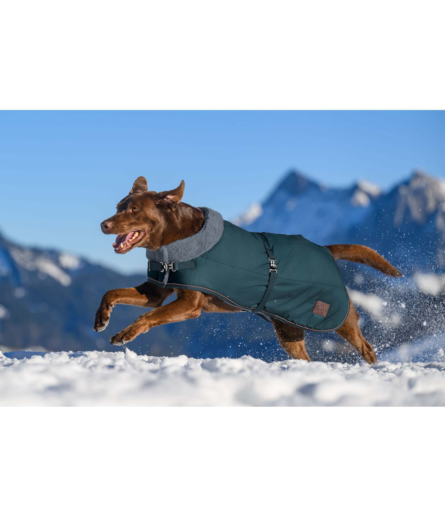 Winter-hondenmantel Gizmo met teddy binnenvoering, 200 g