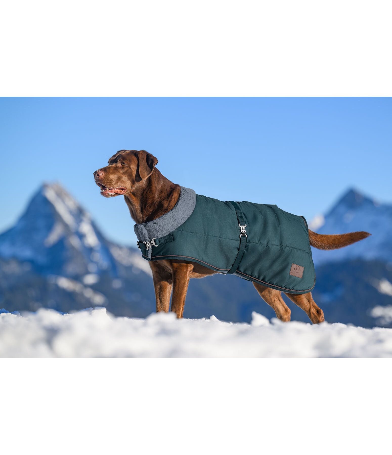 Winter-hondenmantel Gizmo met teddy binnenvoering, 200 g