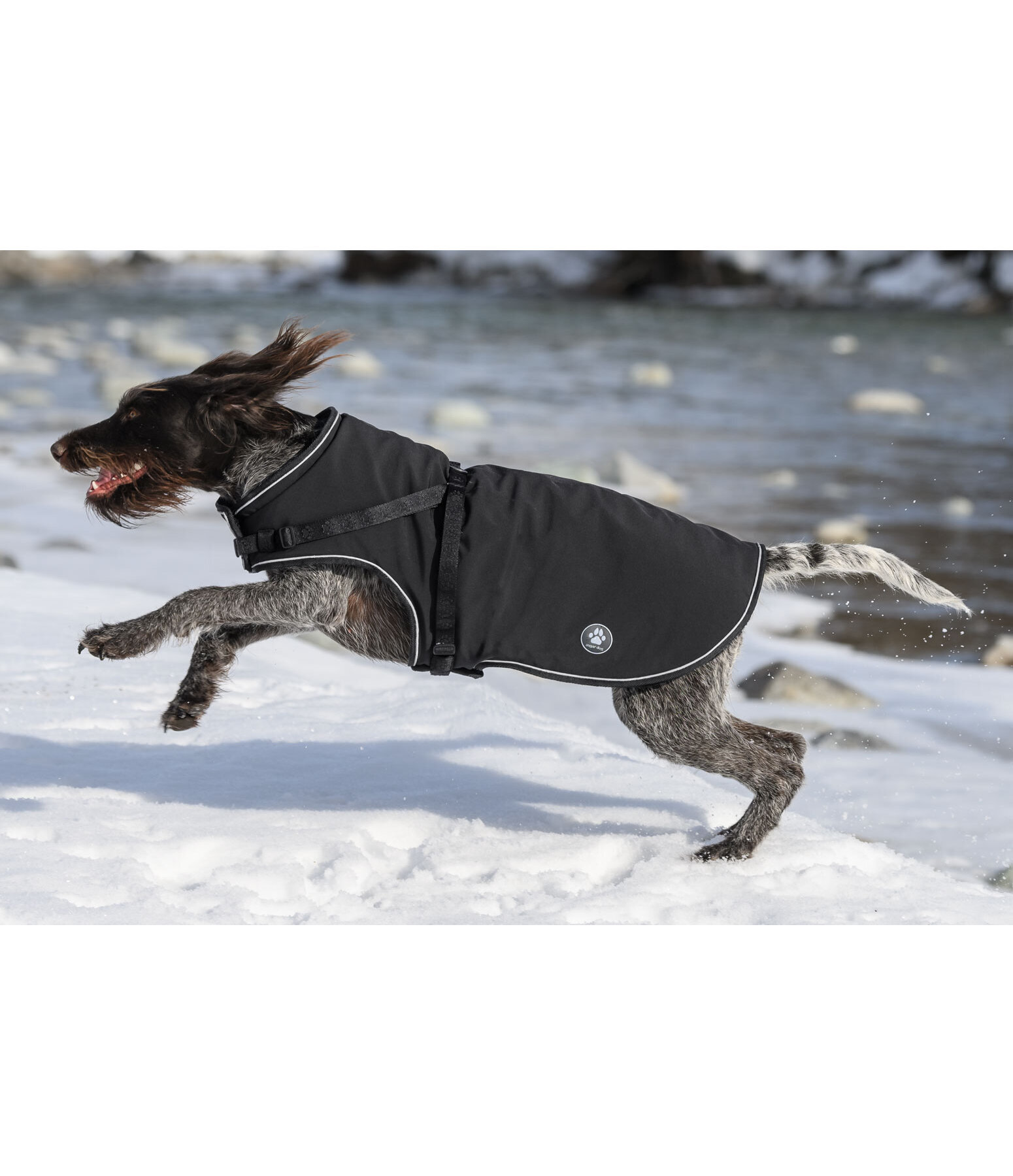 softshell hondenjas Cruz met ge�ntegreerd tuigje, 160 g