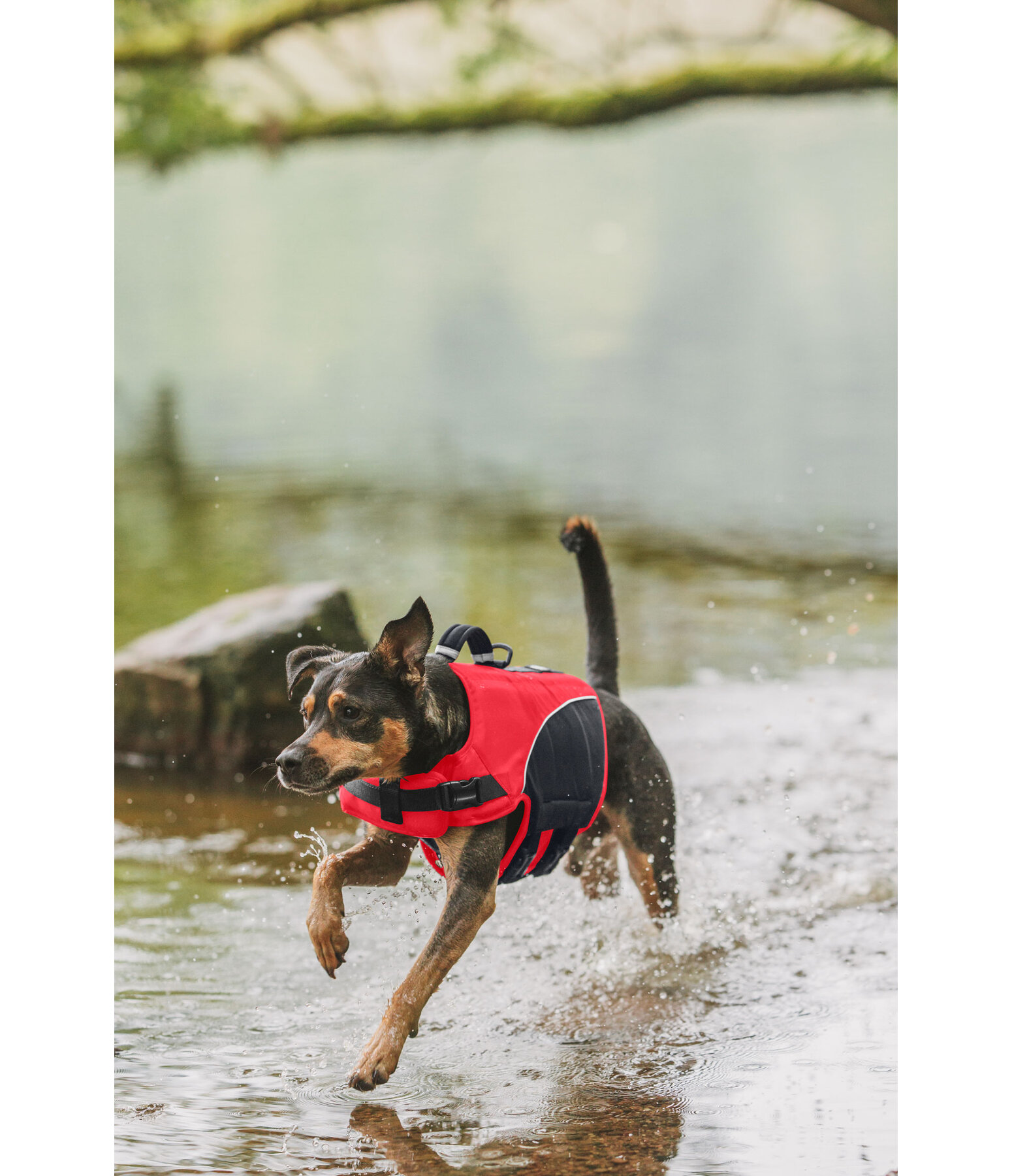 hondenzwemvest Life Guard
