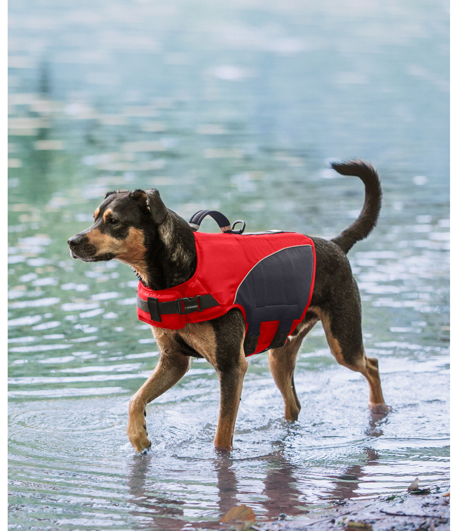 hondenzwemvest Life Guard