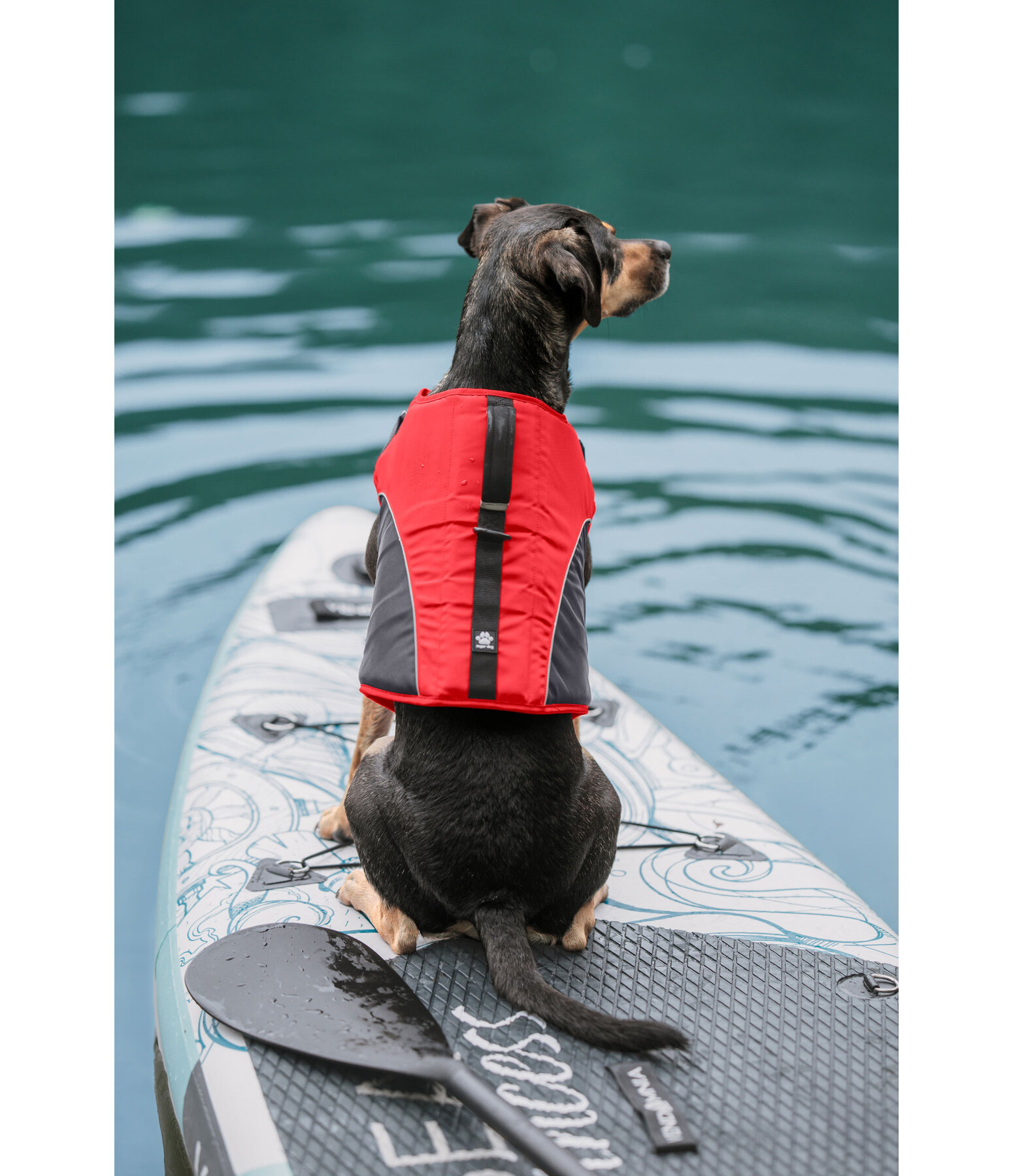 hondenzwemvest Life Guard