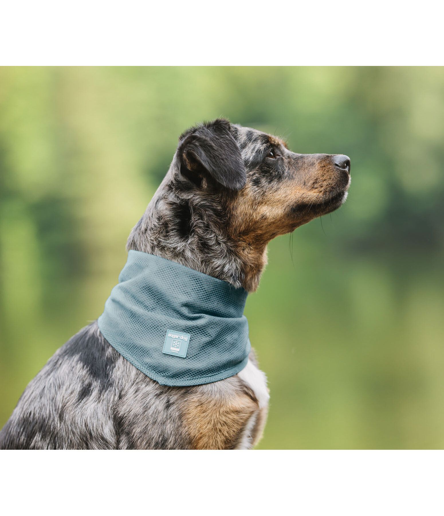 hondenhalsdoek Cooling