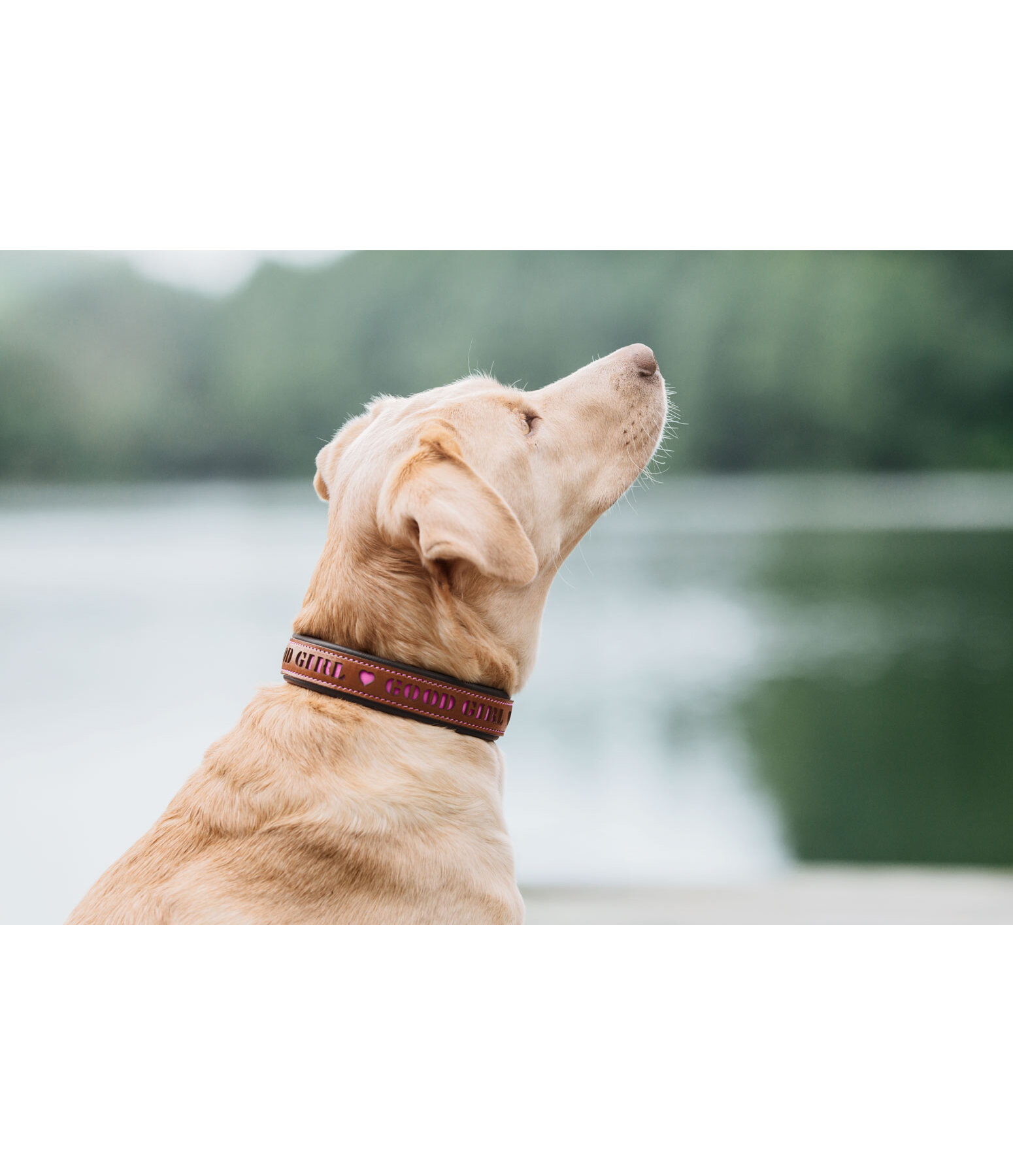 lederen hondenhalsband Good Dog