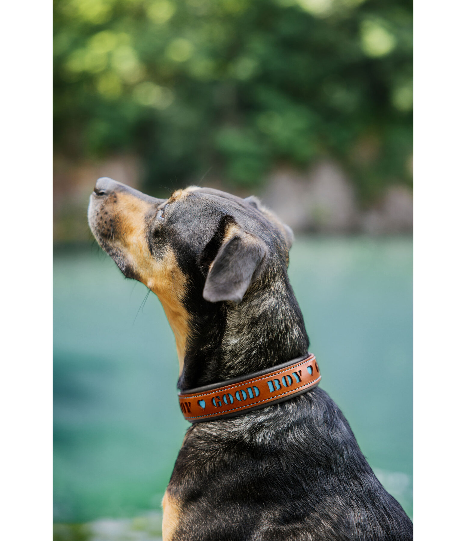 lederen hondenhalsband Good Dog