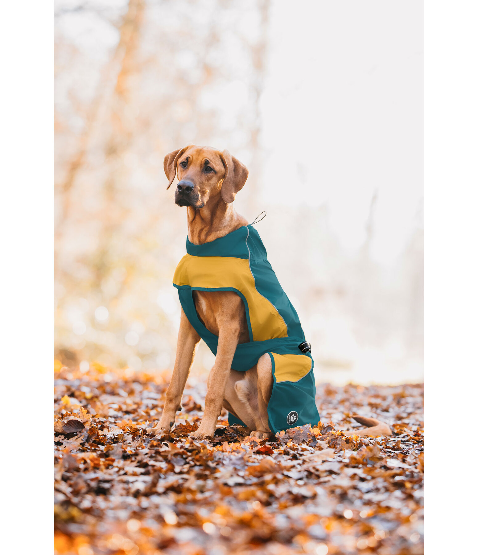 Lightweight honden regenmantel Alma, 0 g