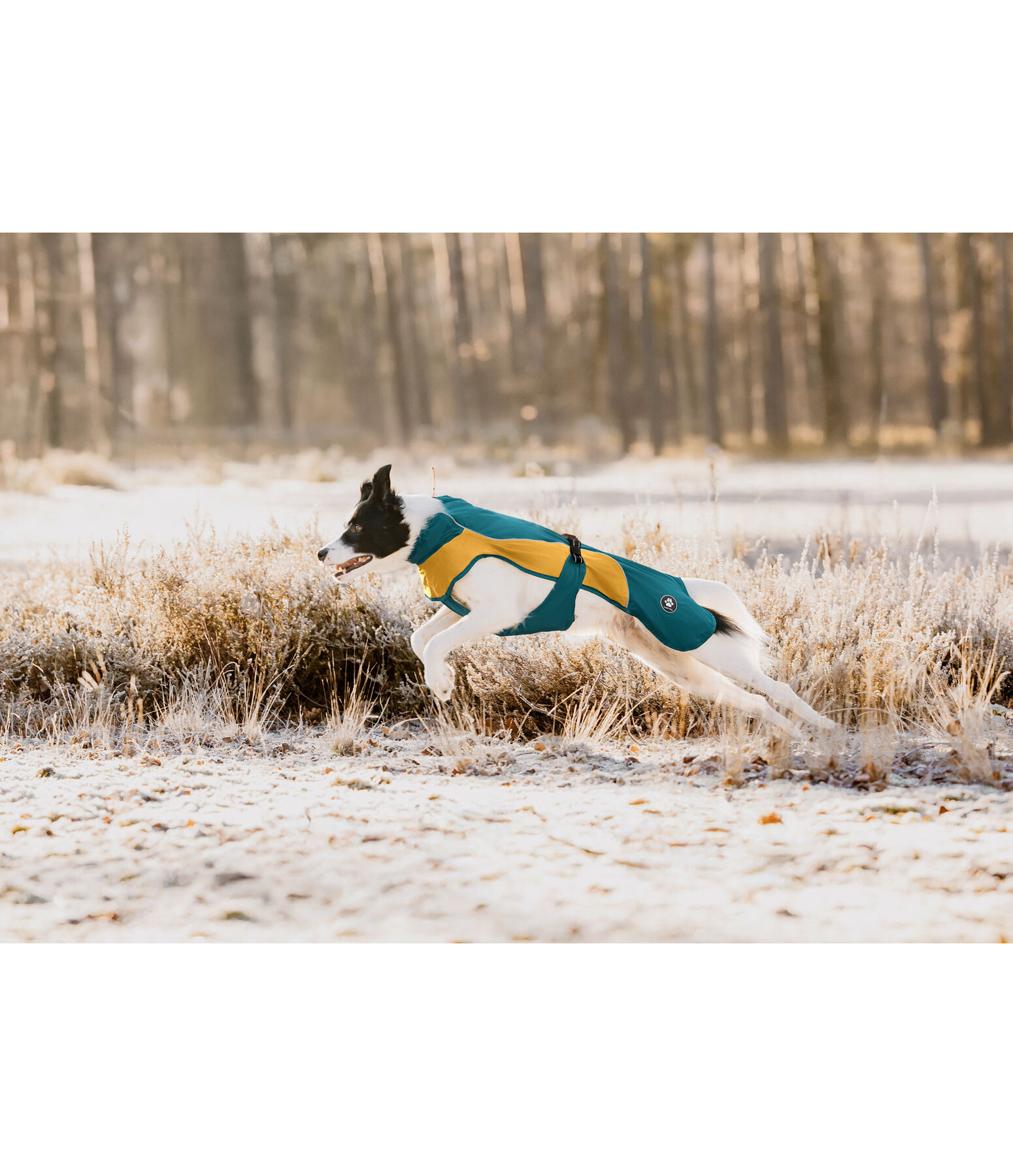 Lightweight honden regenmantel Alma, 0 g