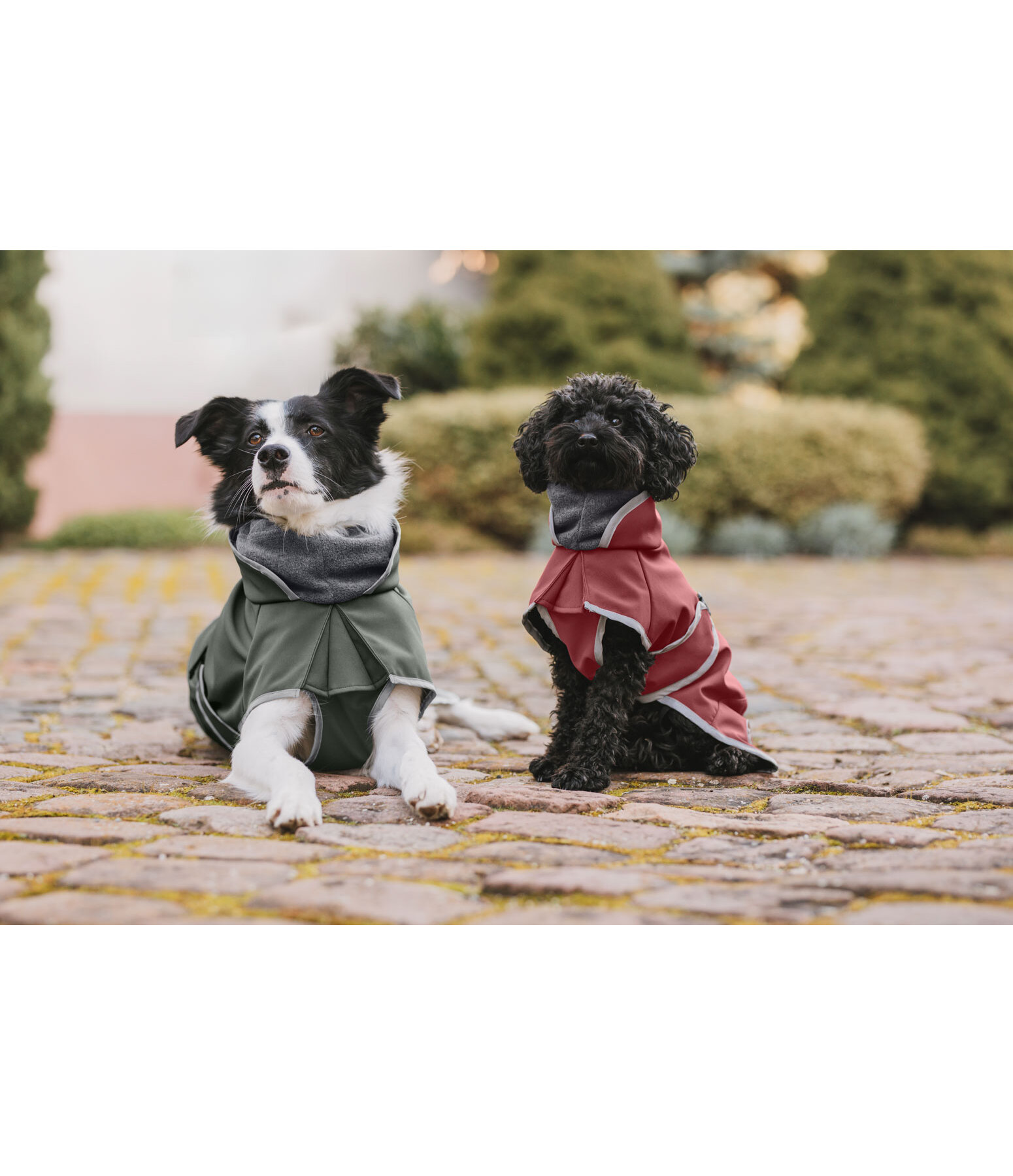 softshell hondenjas met fleecekraag Frida